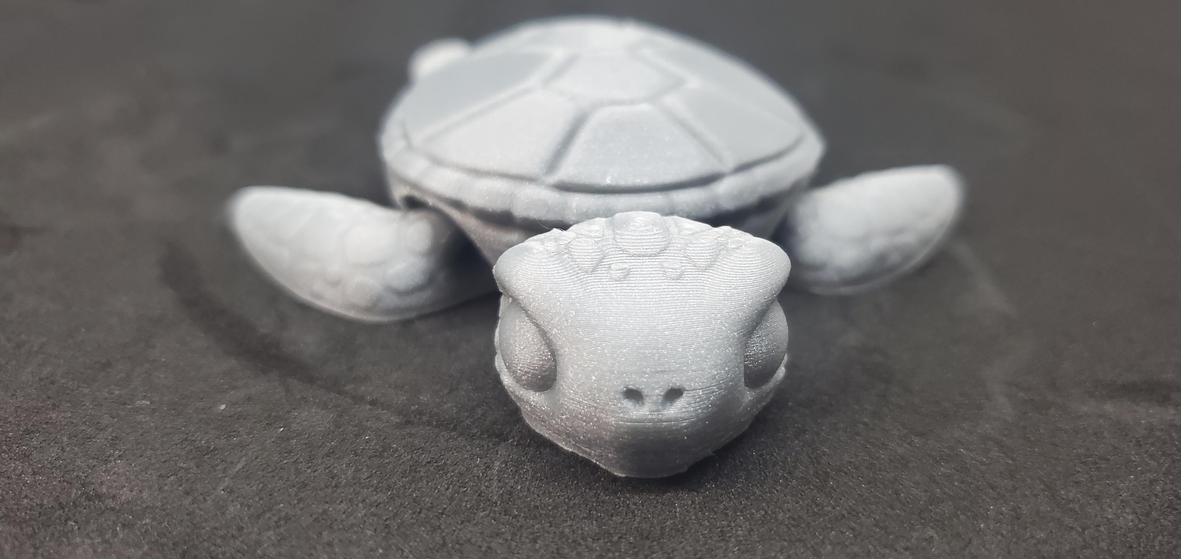 3DL Sea Turtle 3d model