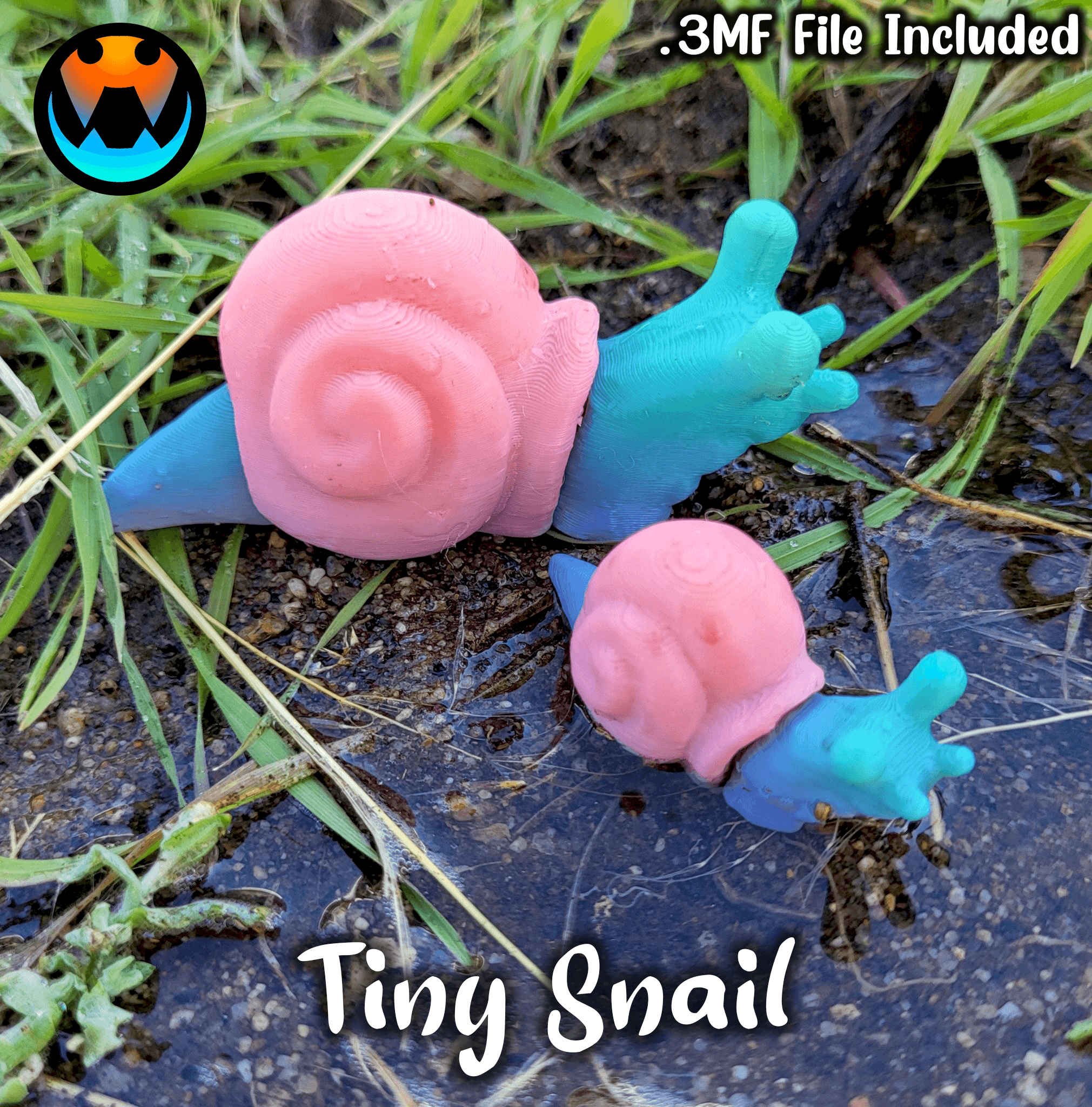 Tiny Snail 3d model