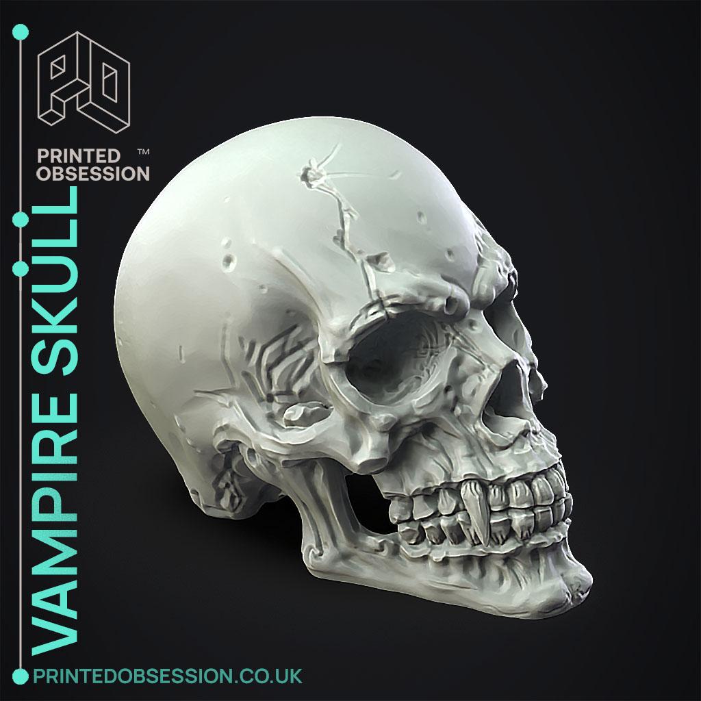 Vampire Skull - Decoration 3d model