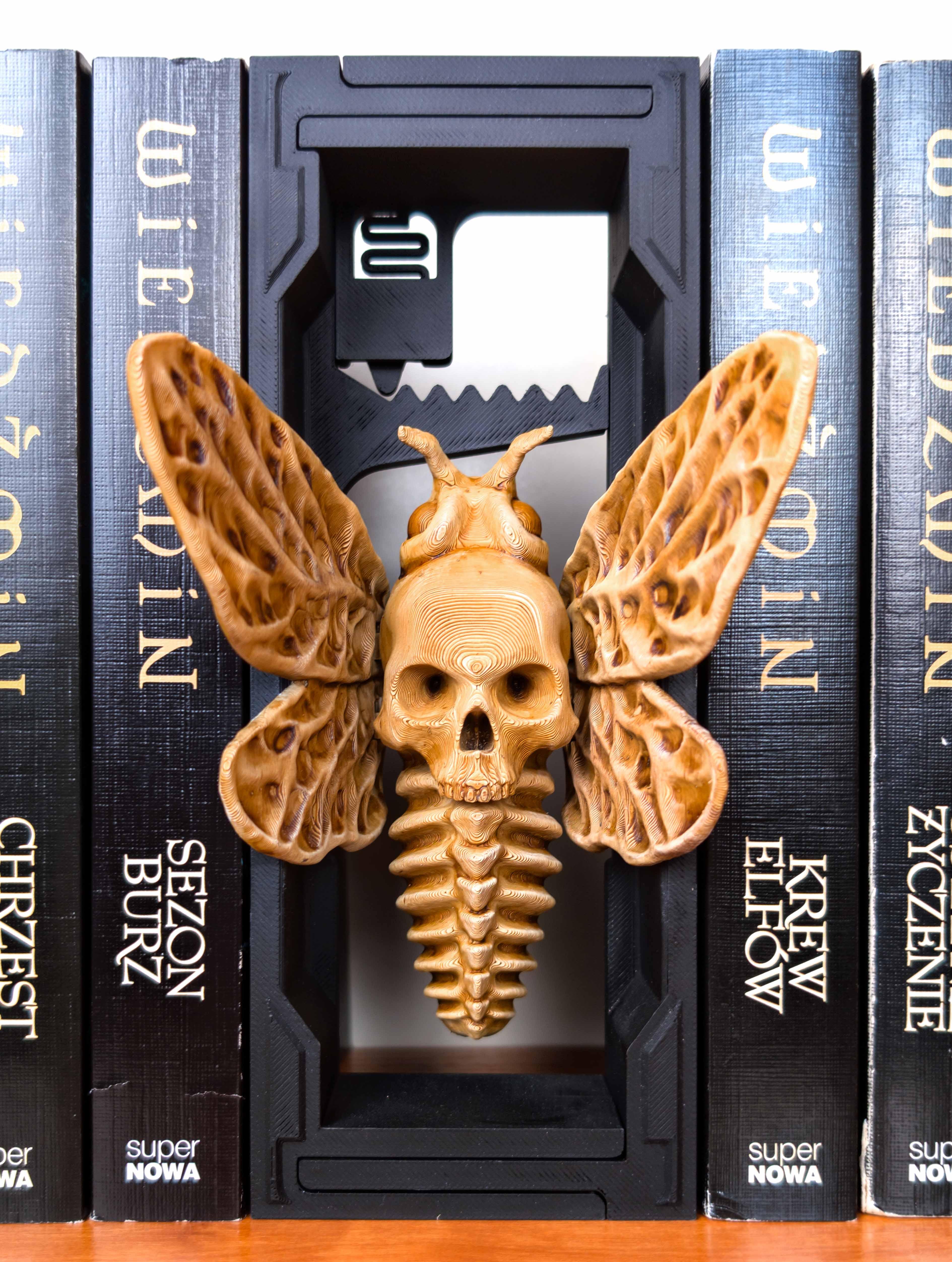 Skull Moth: Halloween Adjustable Book Nook  3d model