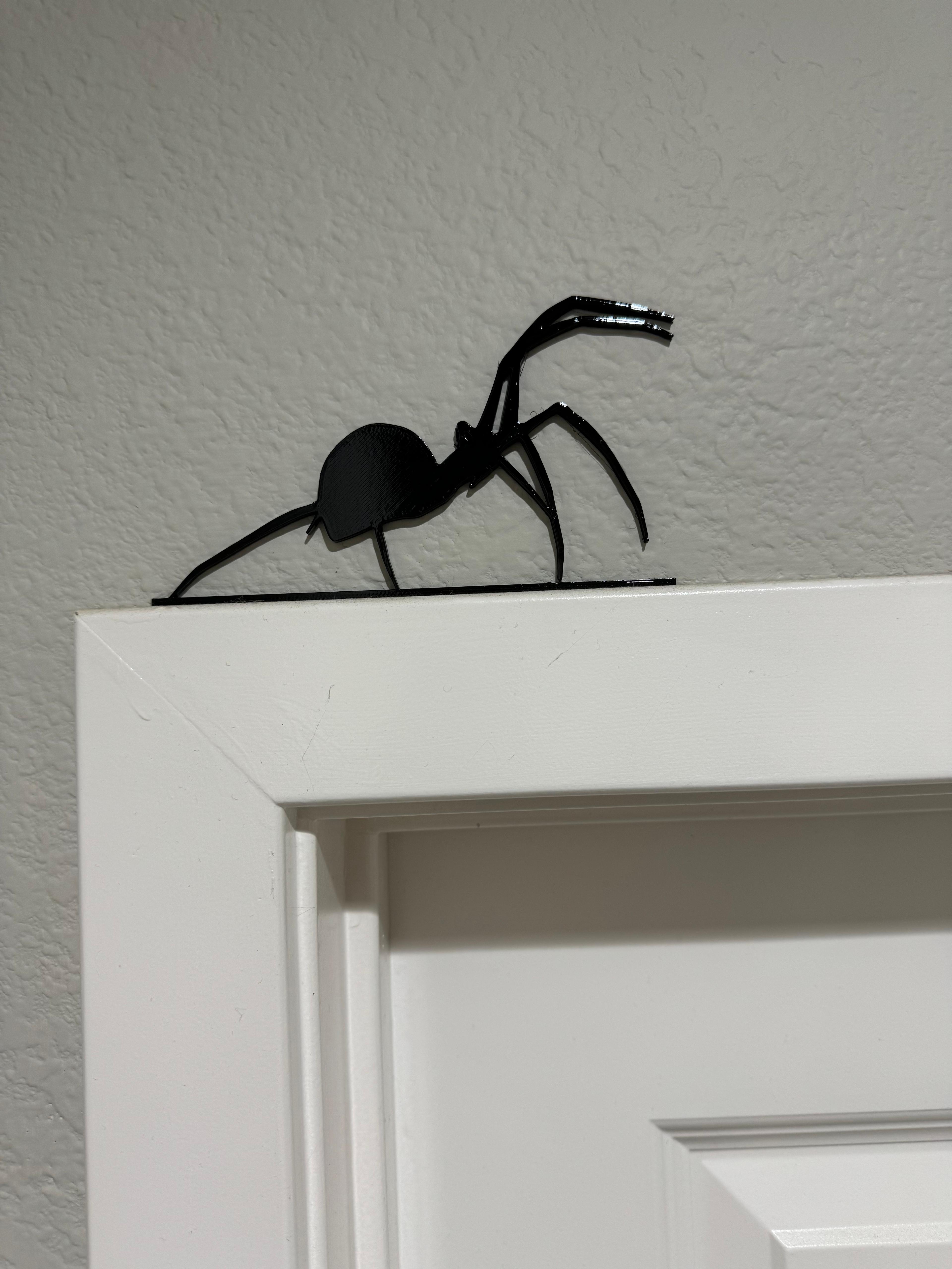 spider 2.stl 3d model