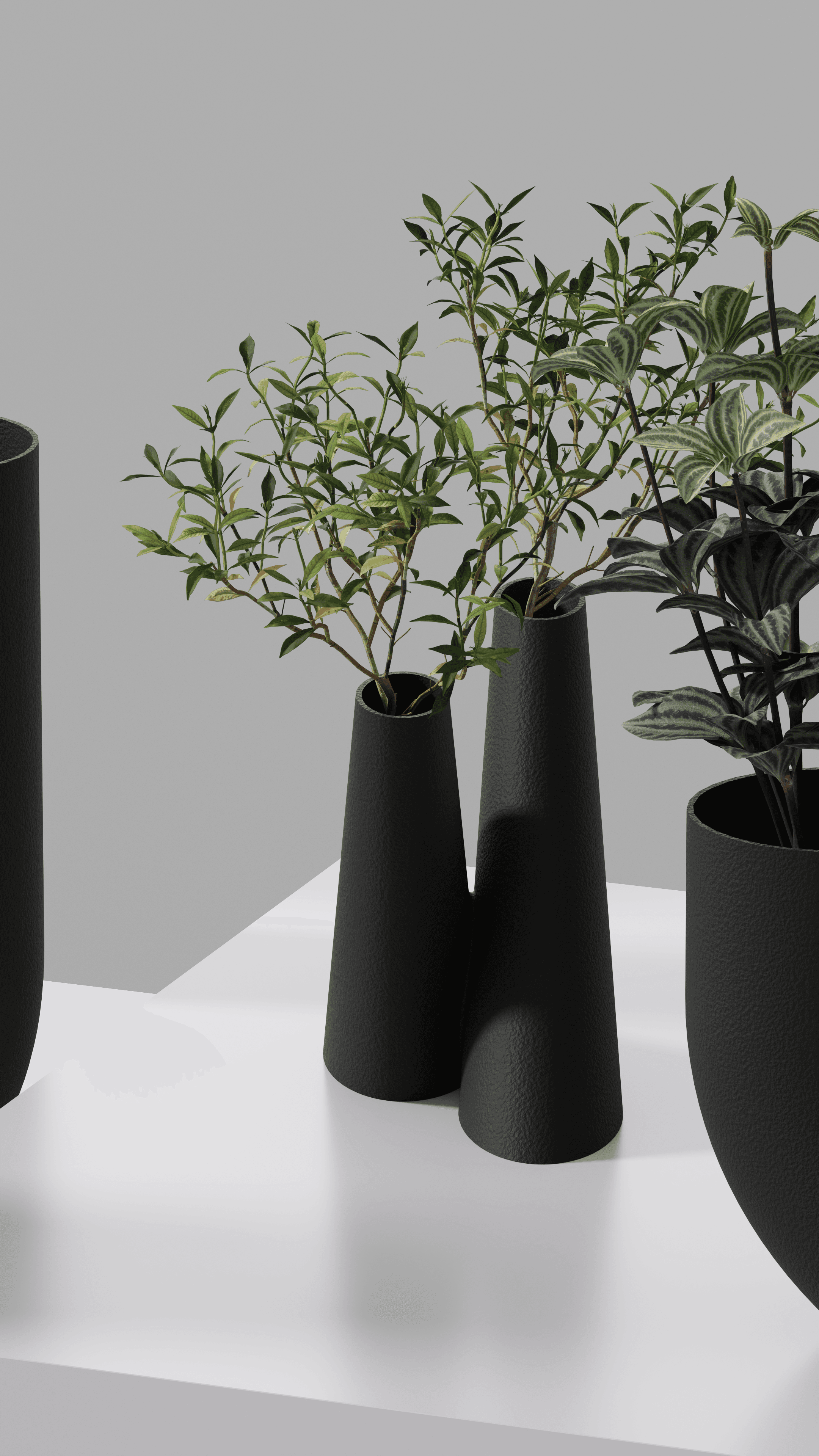 Circularis Series 3d model