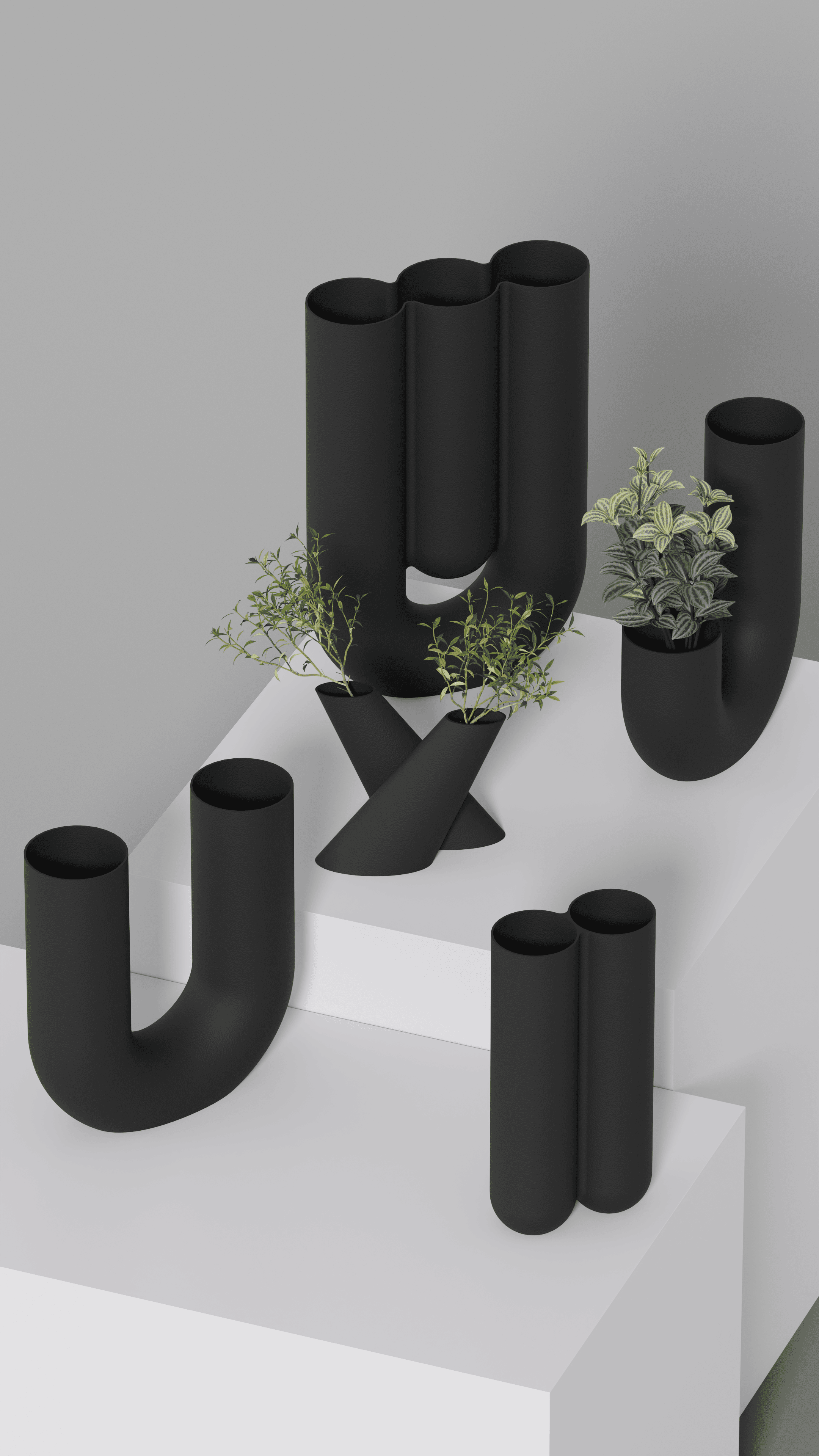 Circularis Series 3d model