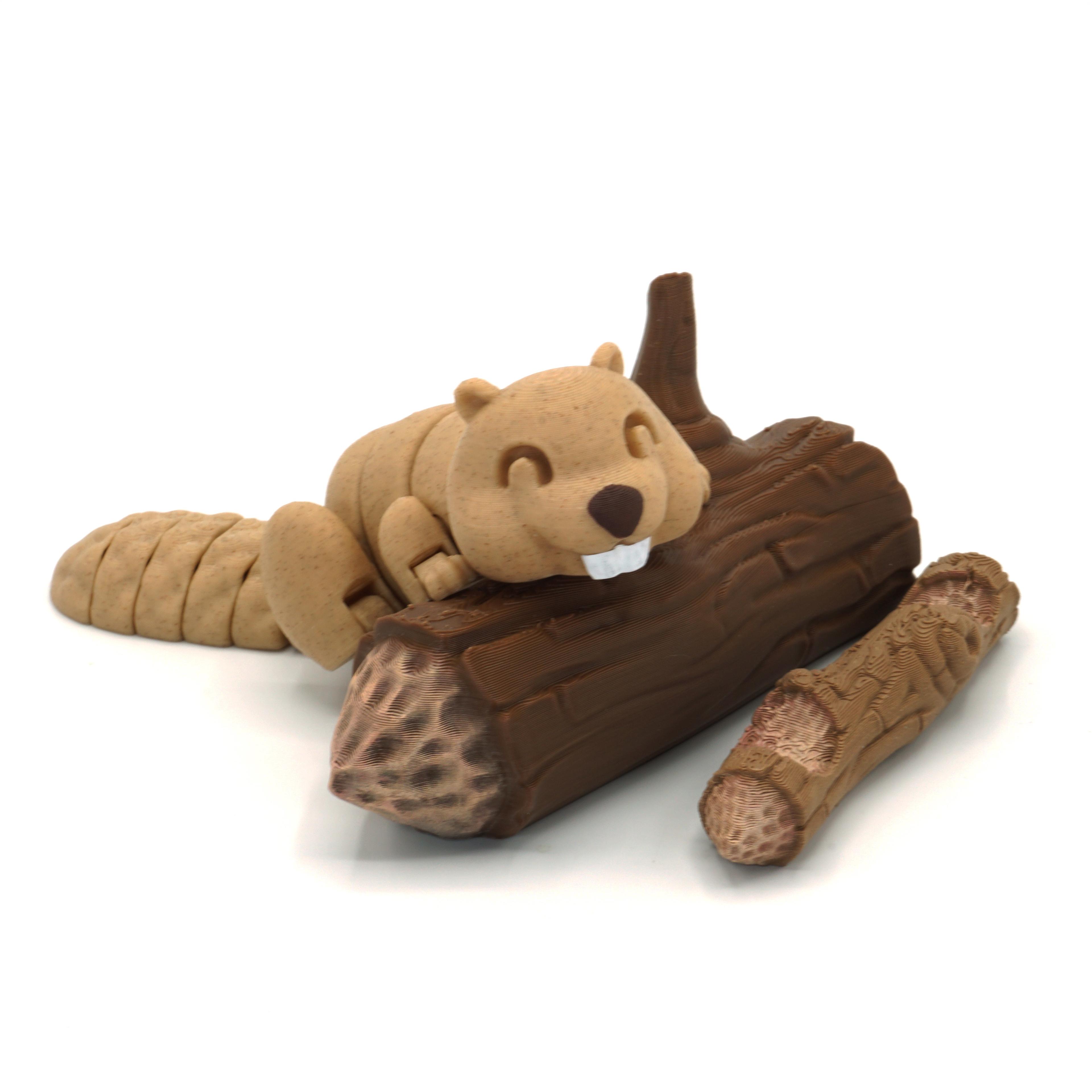 Lazy Beaver 3d model