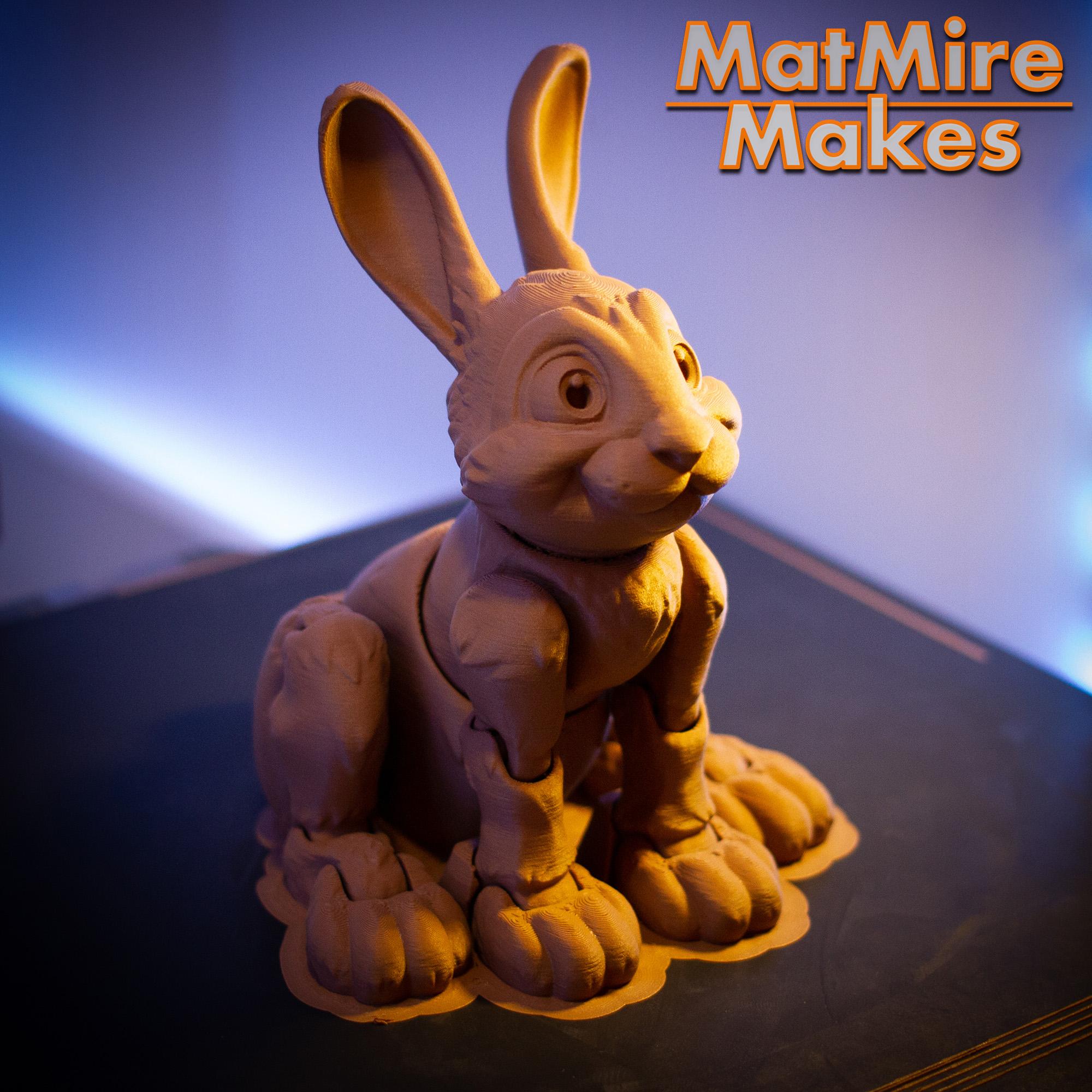 Bunny Rabbit - Articulated Figure 3d model