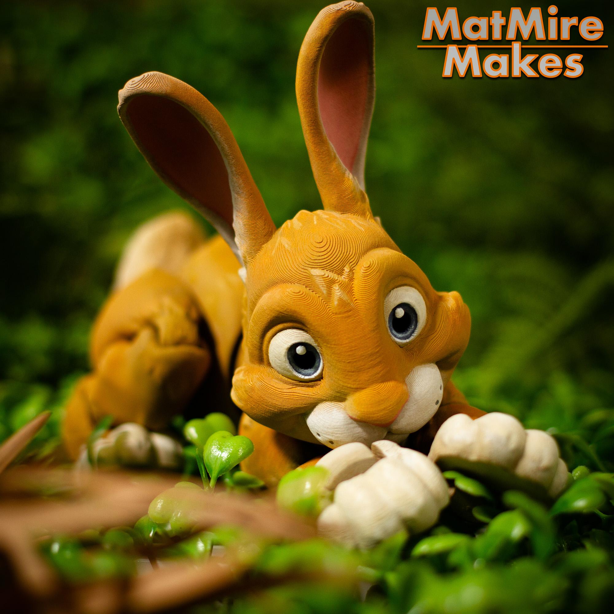 Bunny Rabbit - Articulated Figure 3d model