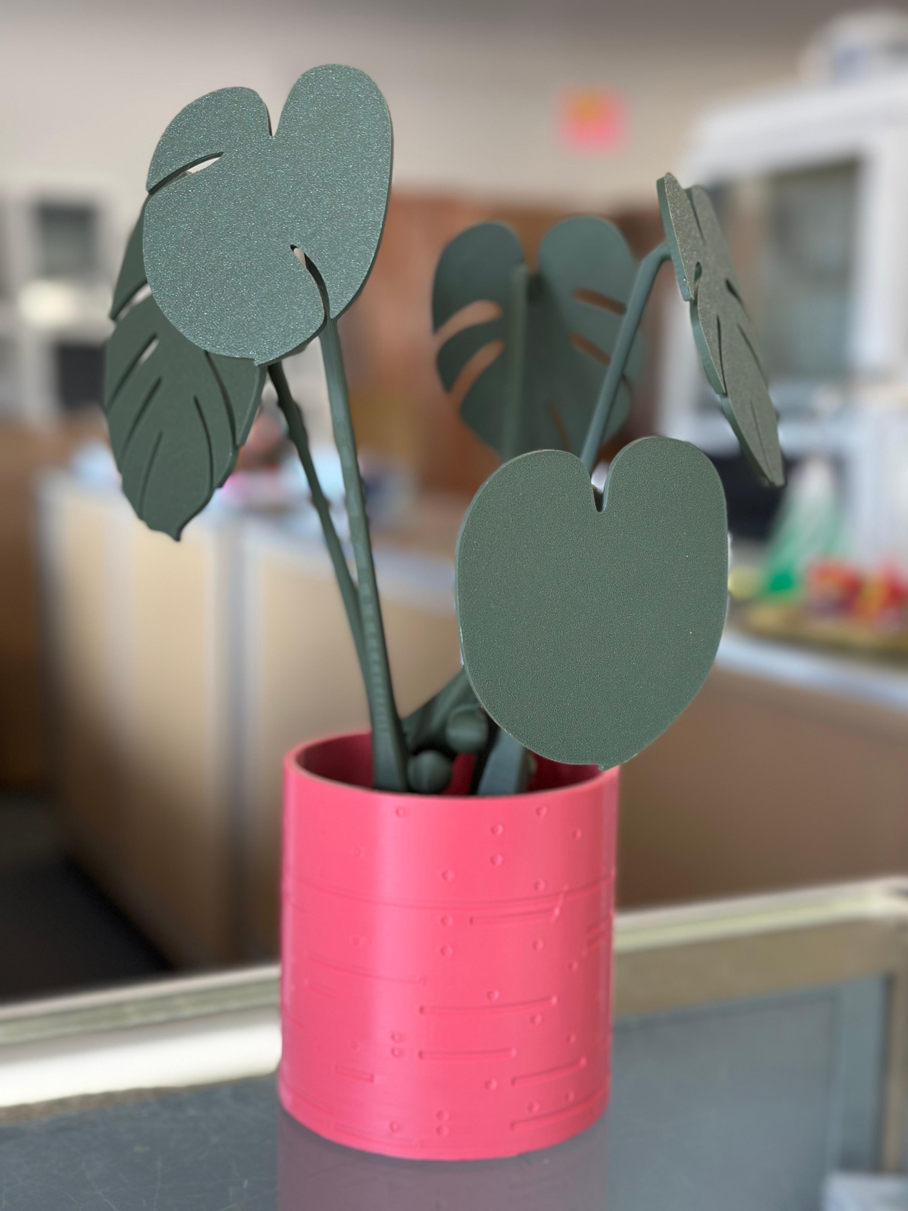 Monstera Coaster Set 3d model