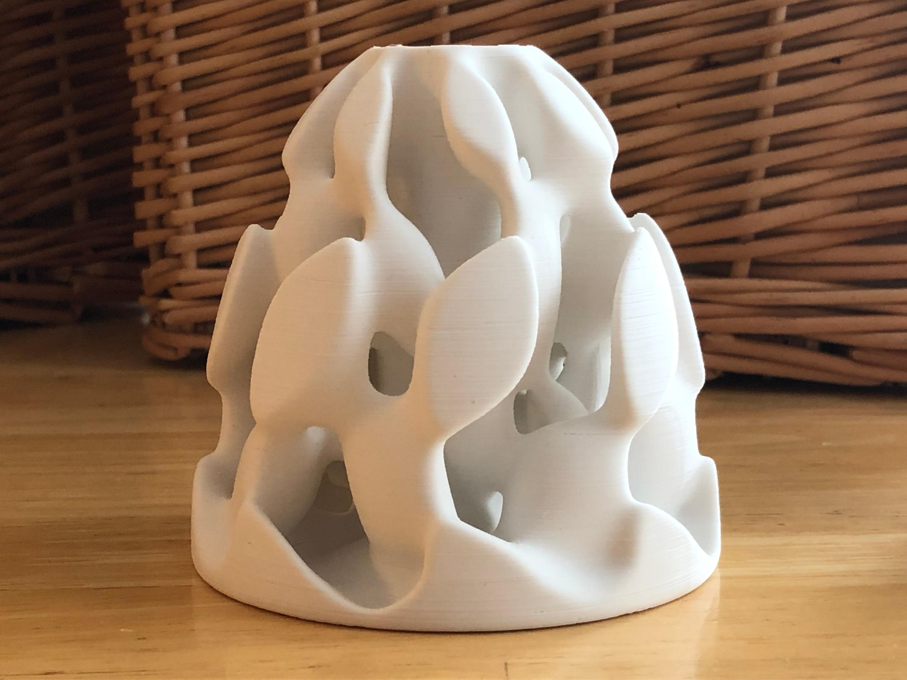 Reticular Form 1 3d model