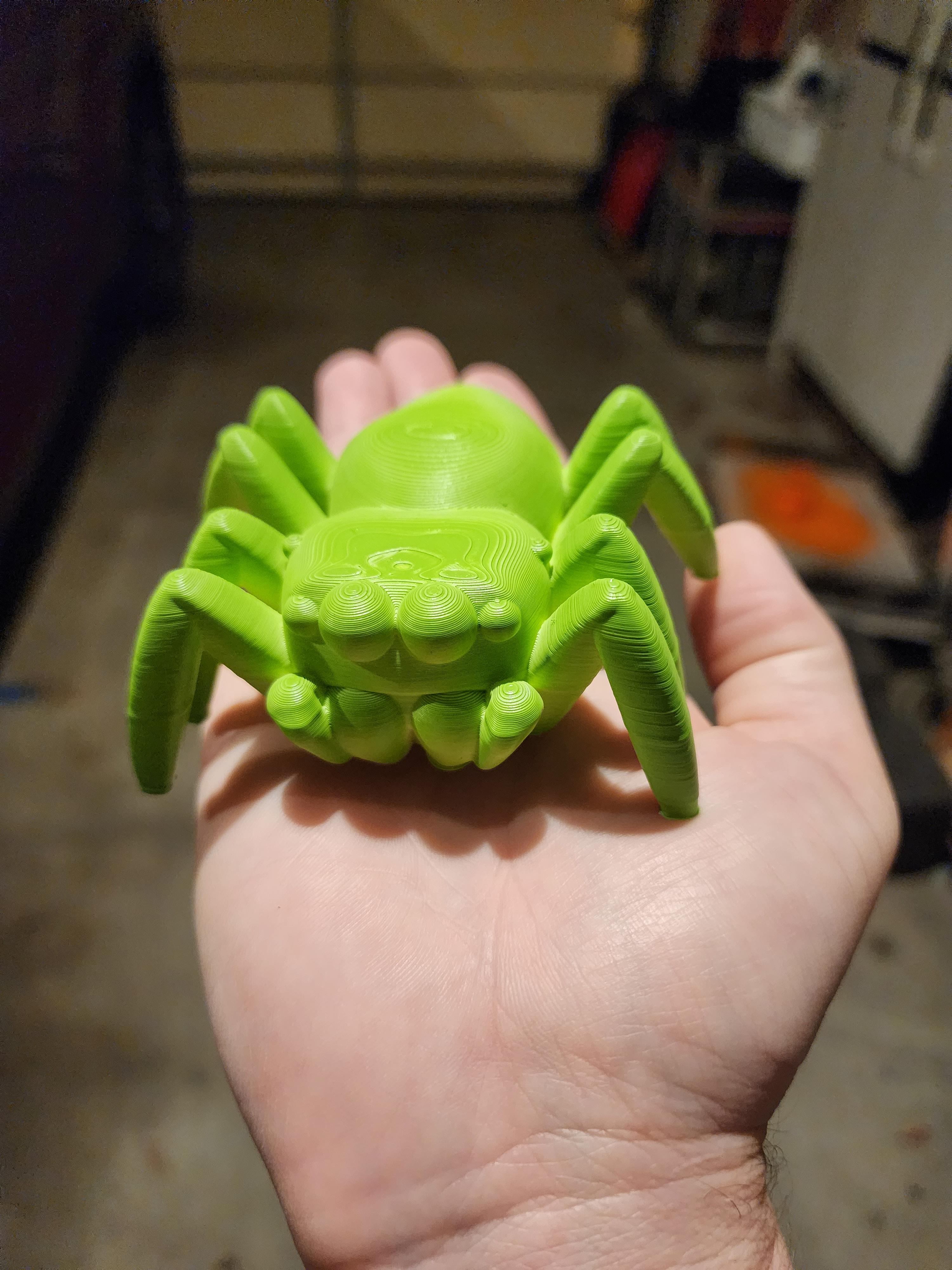 Jumping Spider Version 1 3d model