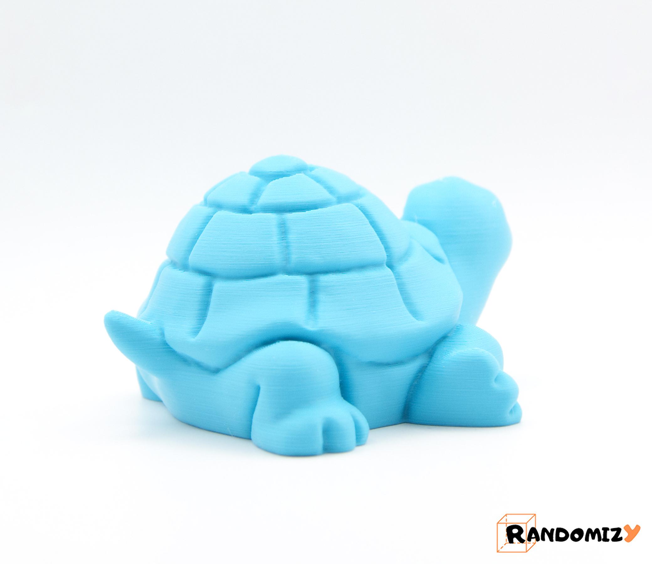 Turtle 3d model