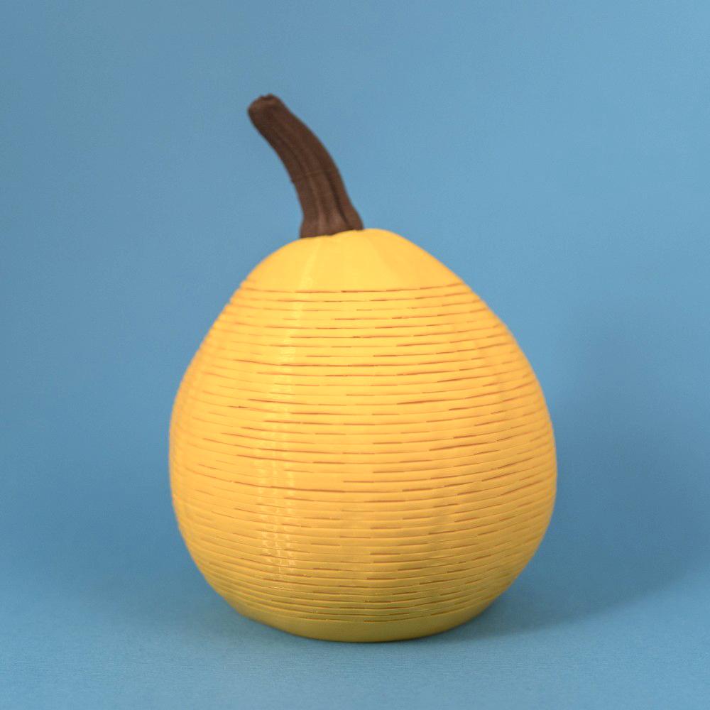 Squash Springo (2 sizes) 3d model