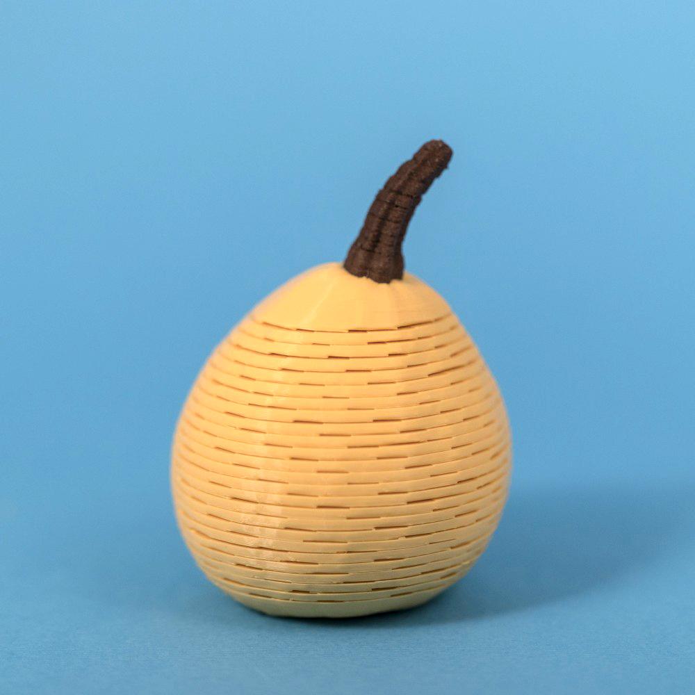 Squash Springo (2 sizes) 3d model