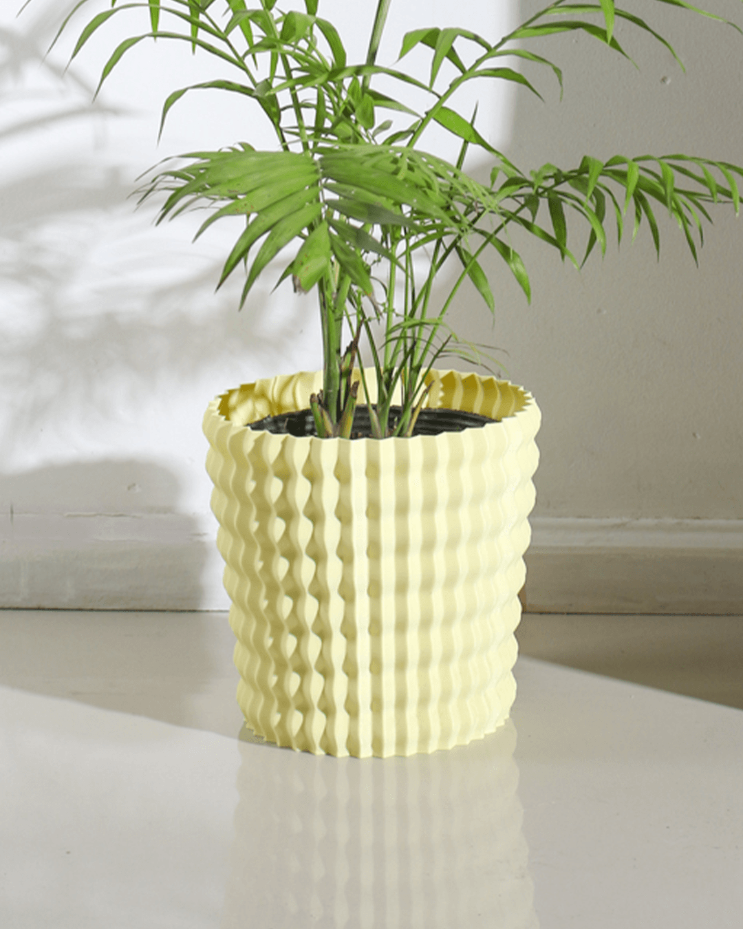 PINA FLOWERPOT 3d model