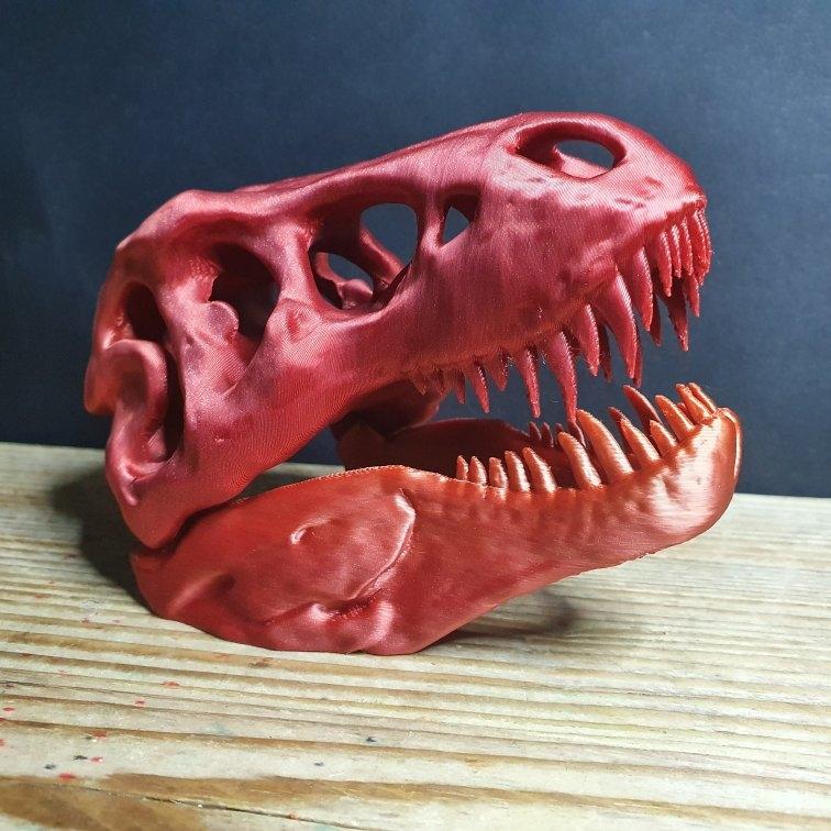 T Rex Skull  3d model