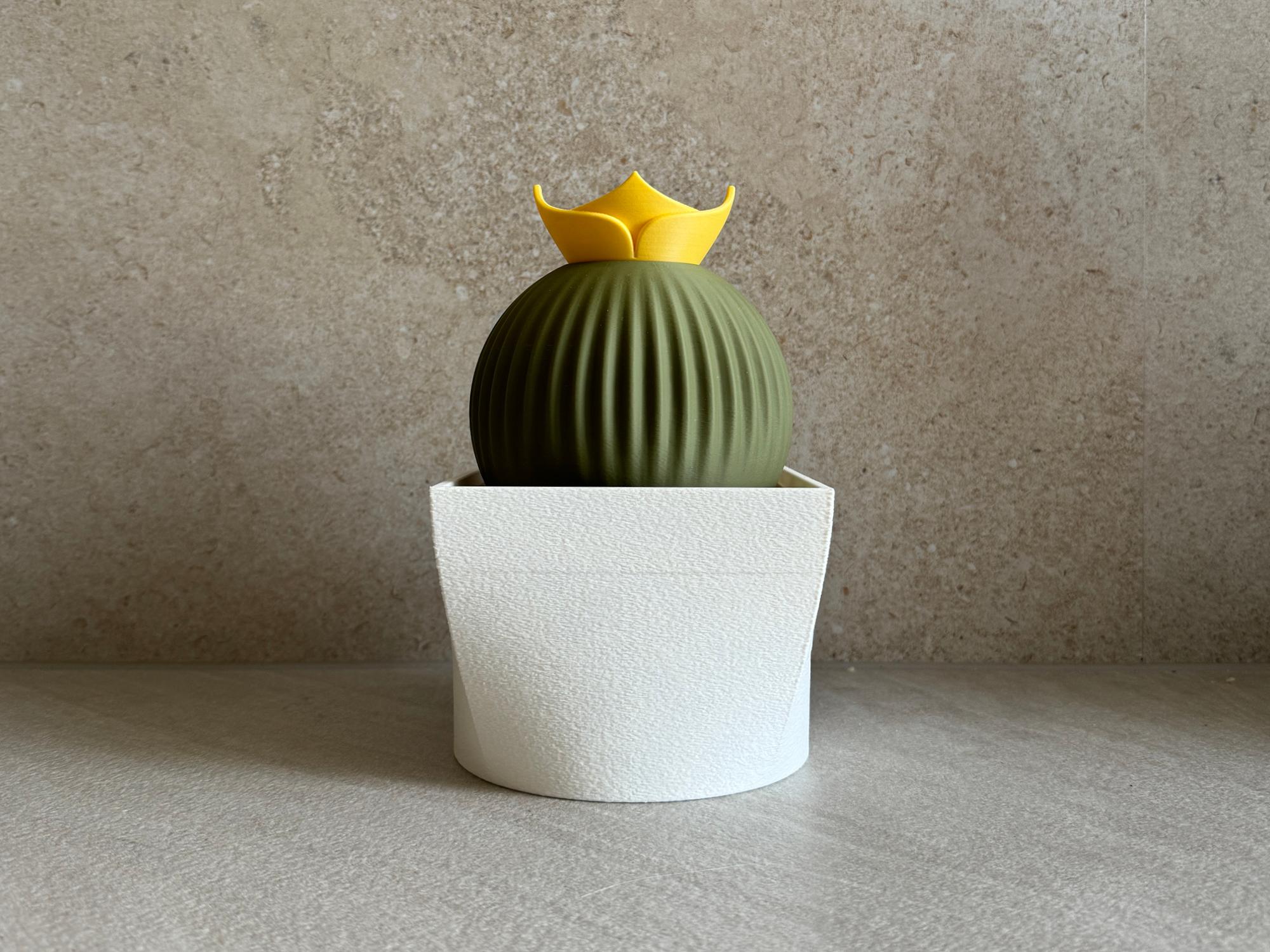 Cacti Parti, a set of coasters, napkins and toothpick holders. 3d model