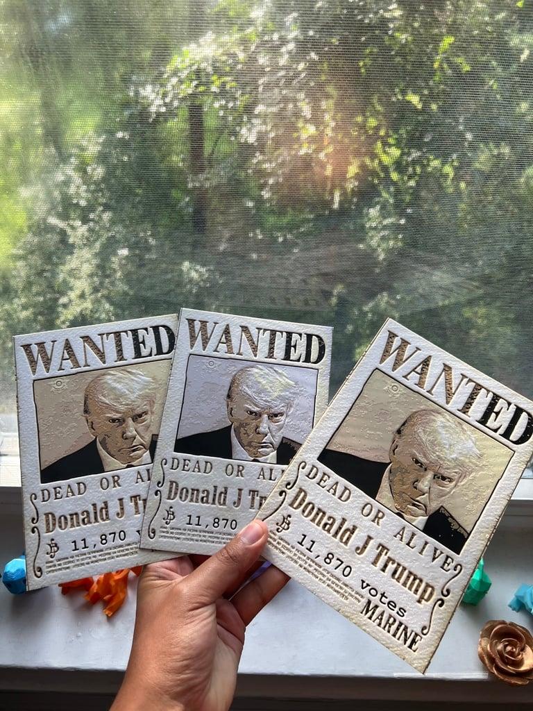 Trump Wanted Poster - One Piece Inspried - made w/ HueForge 3d model