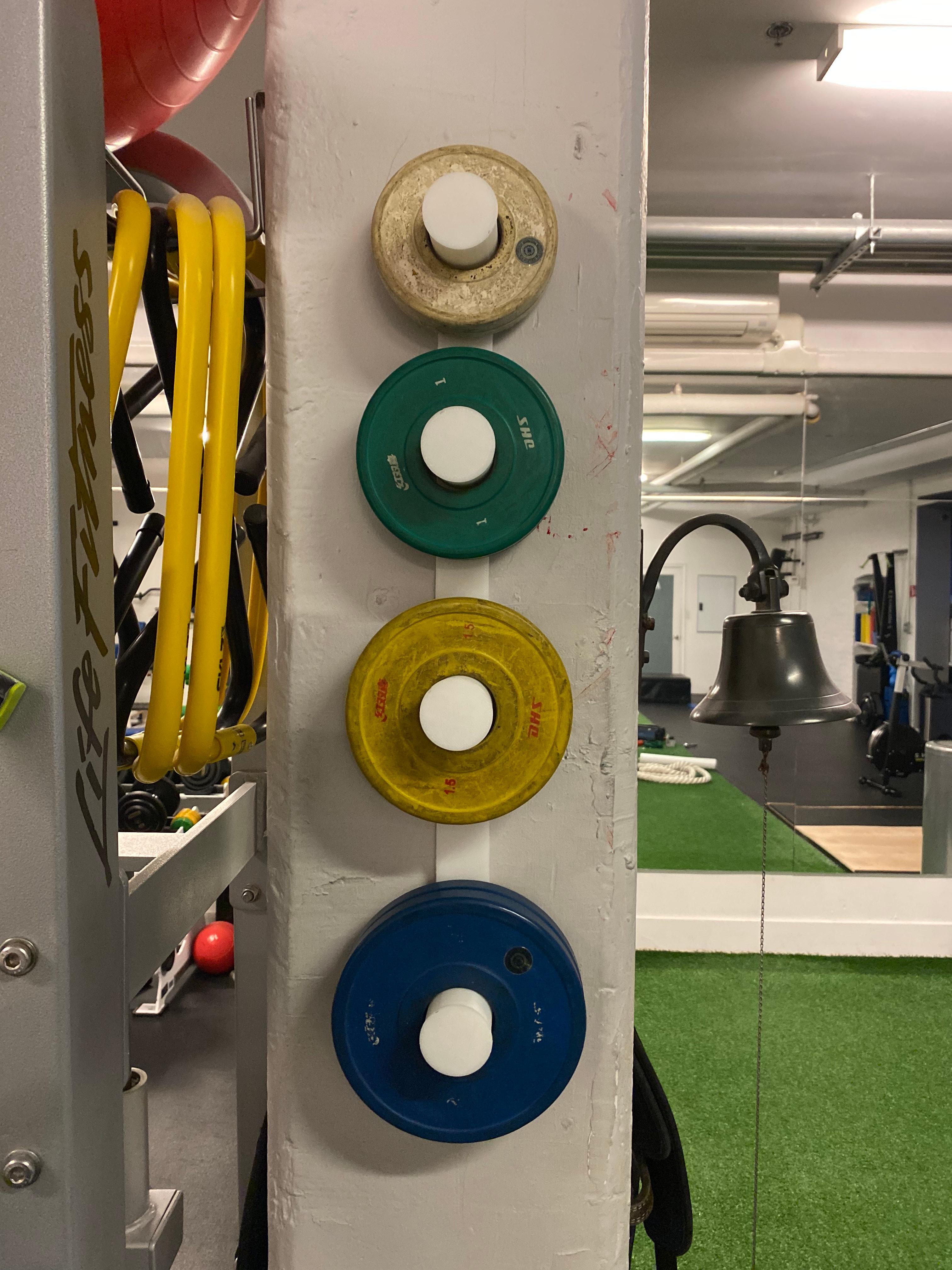 Wall mounted Change plate storage for the homegym 3d model