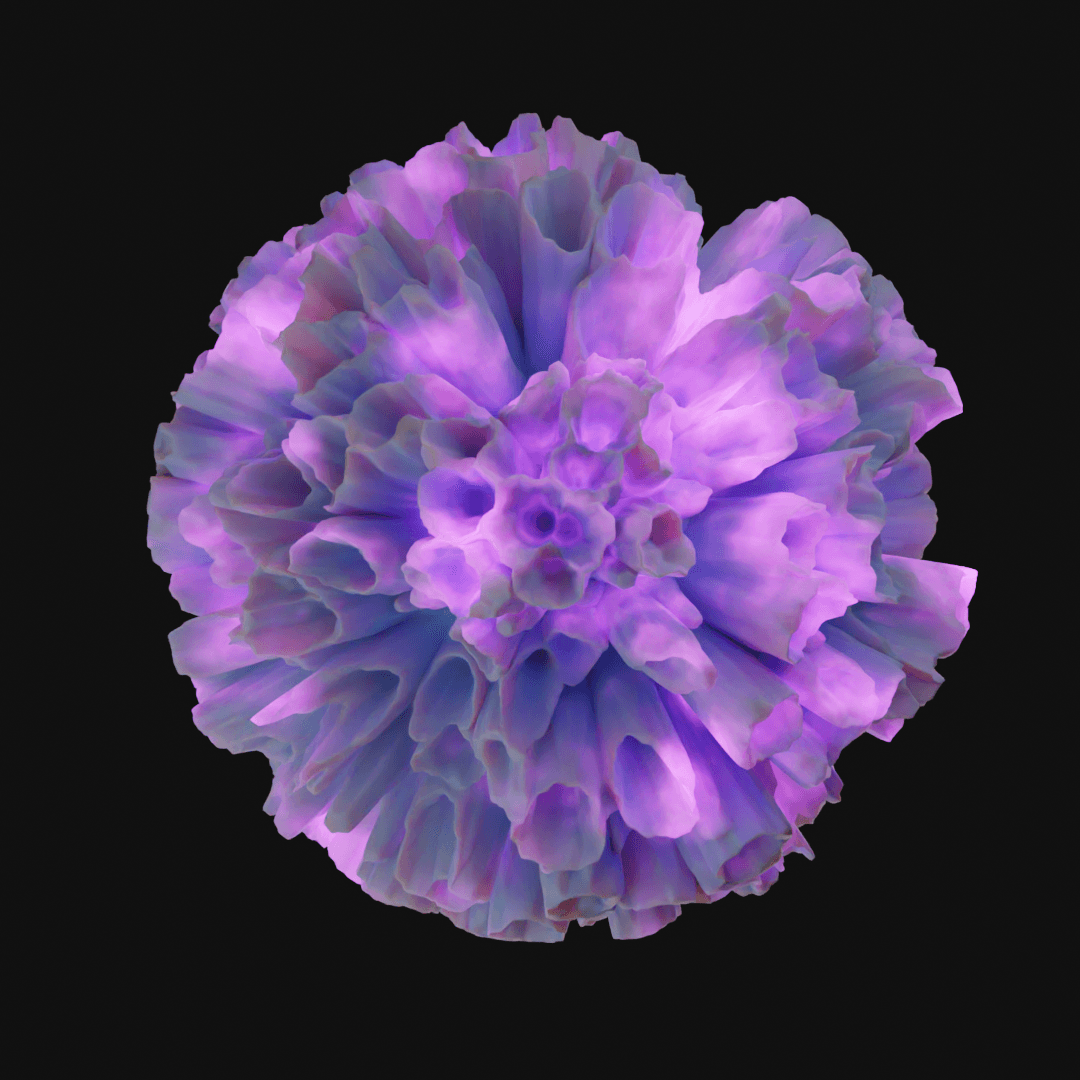 Coral 3d model