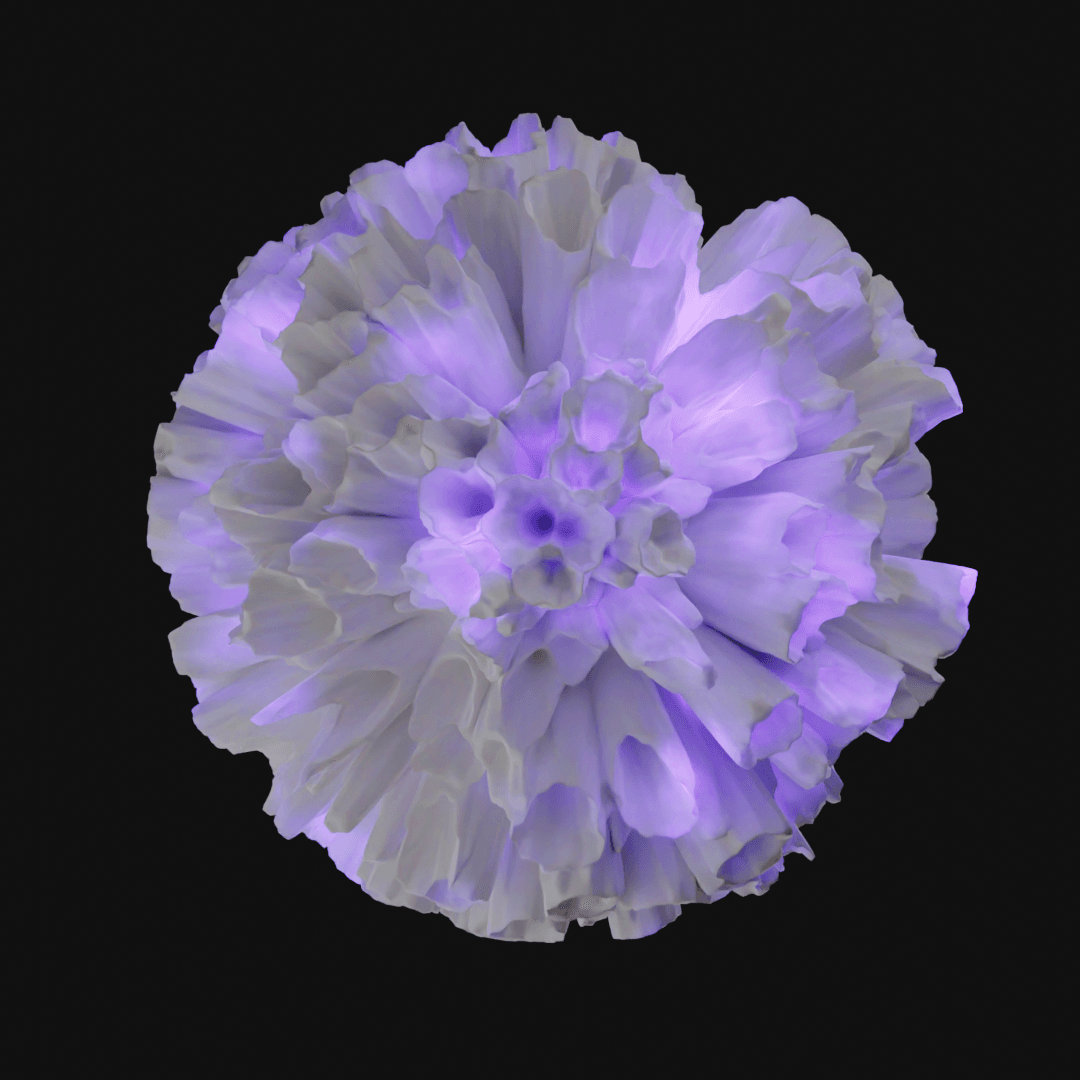 Coral 3d model