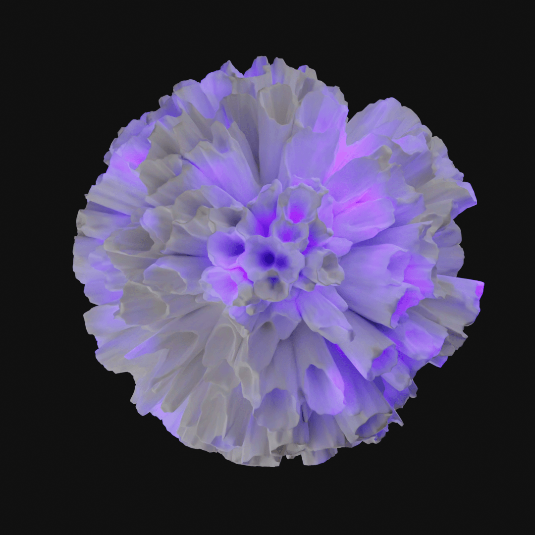 Coral 3d model