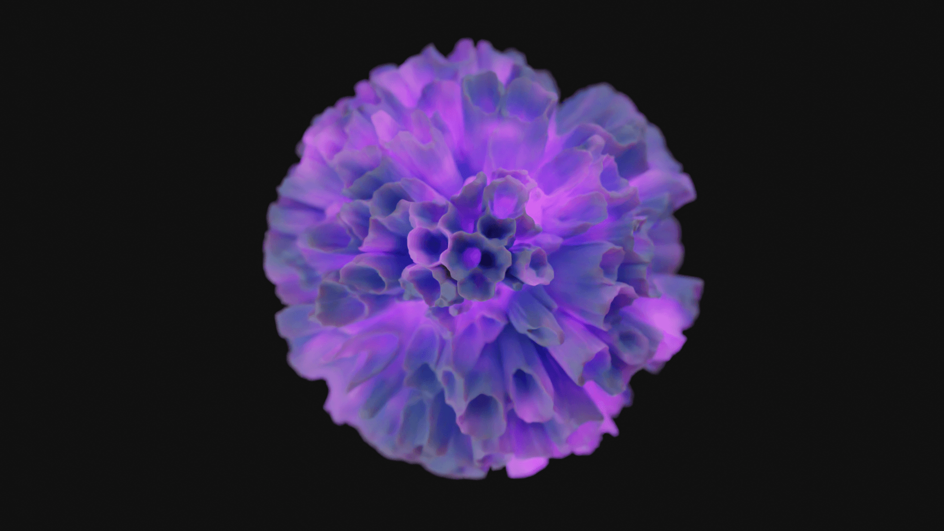 Coral 3d model