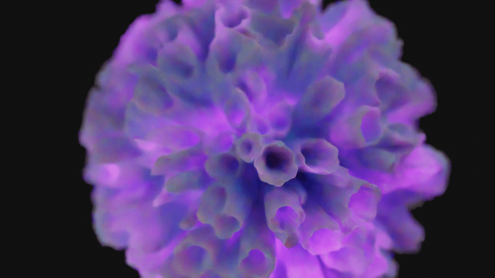 Coral 3d model