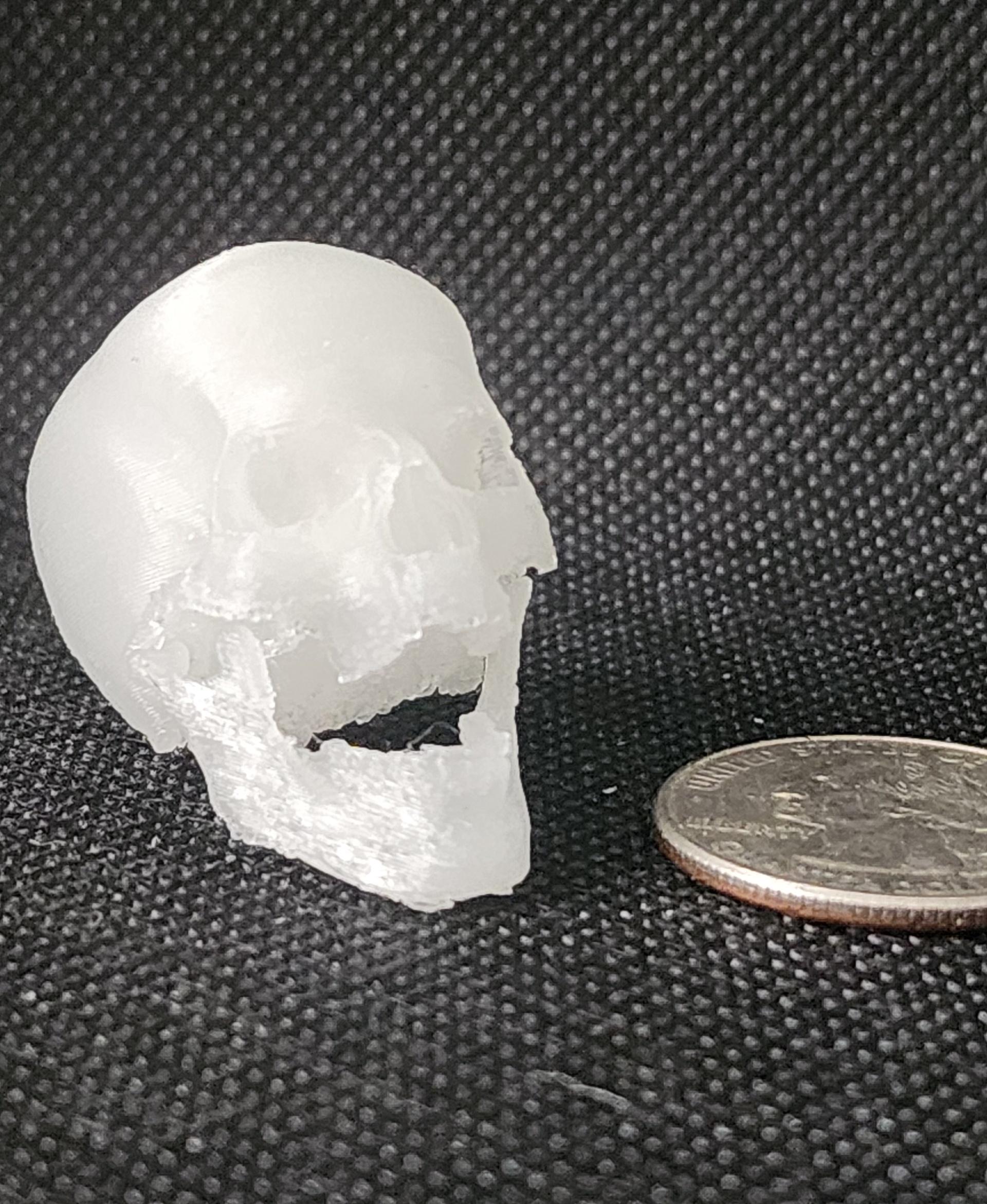 Articulated Skull 3d model