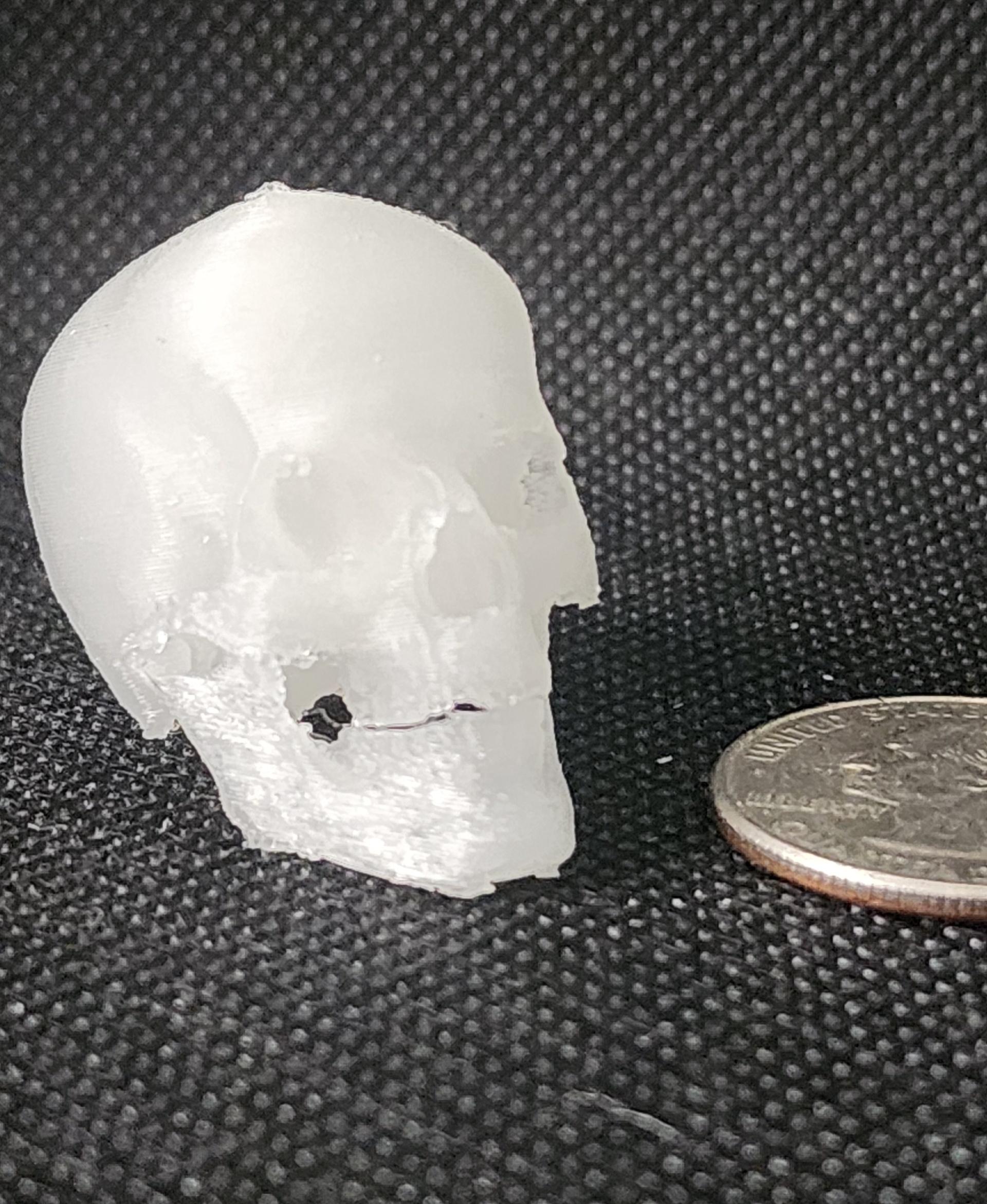 Articulated Skull 3d model