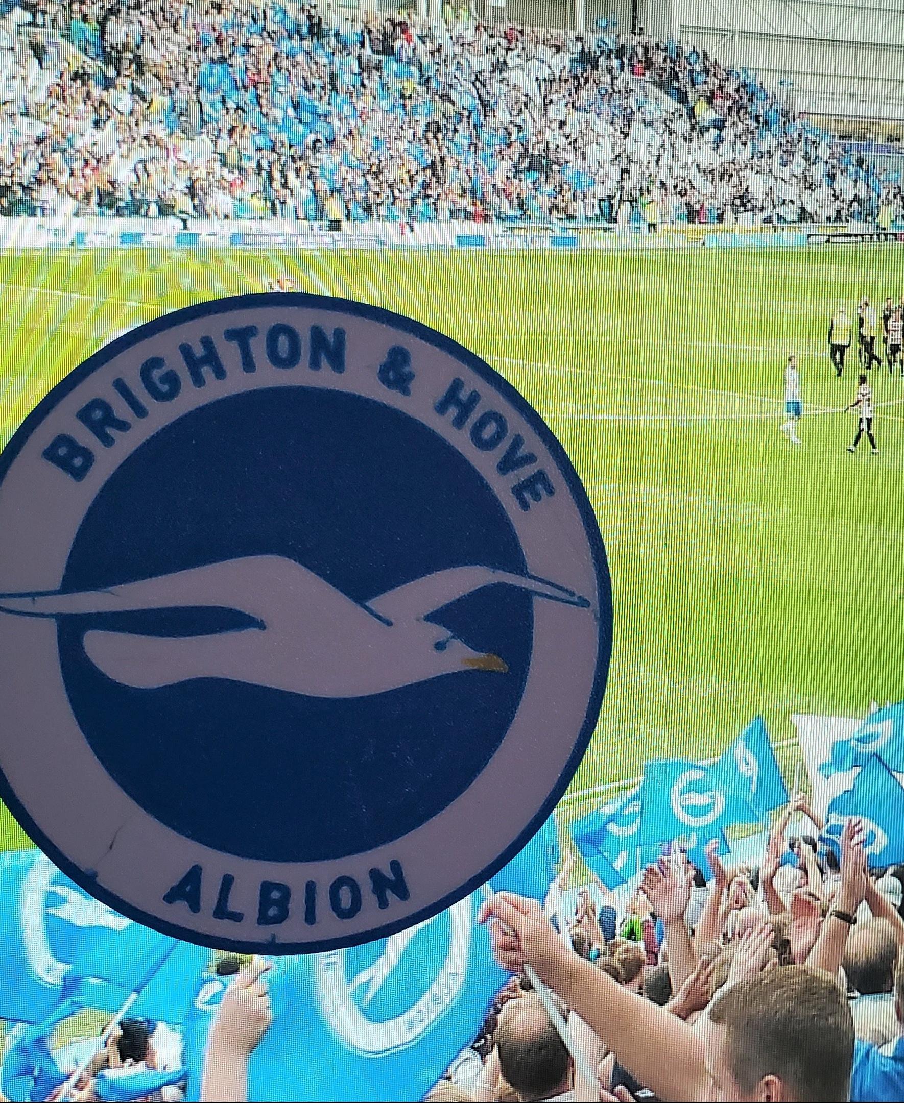 AMS / MMU Brighton & Hove Albion  FC coaster or plaque  3d model