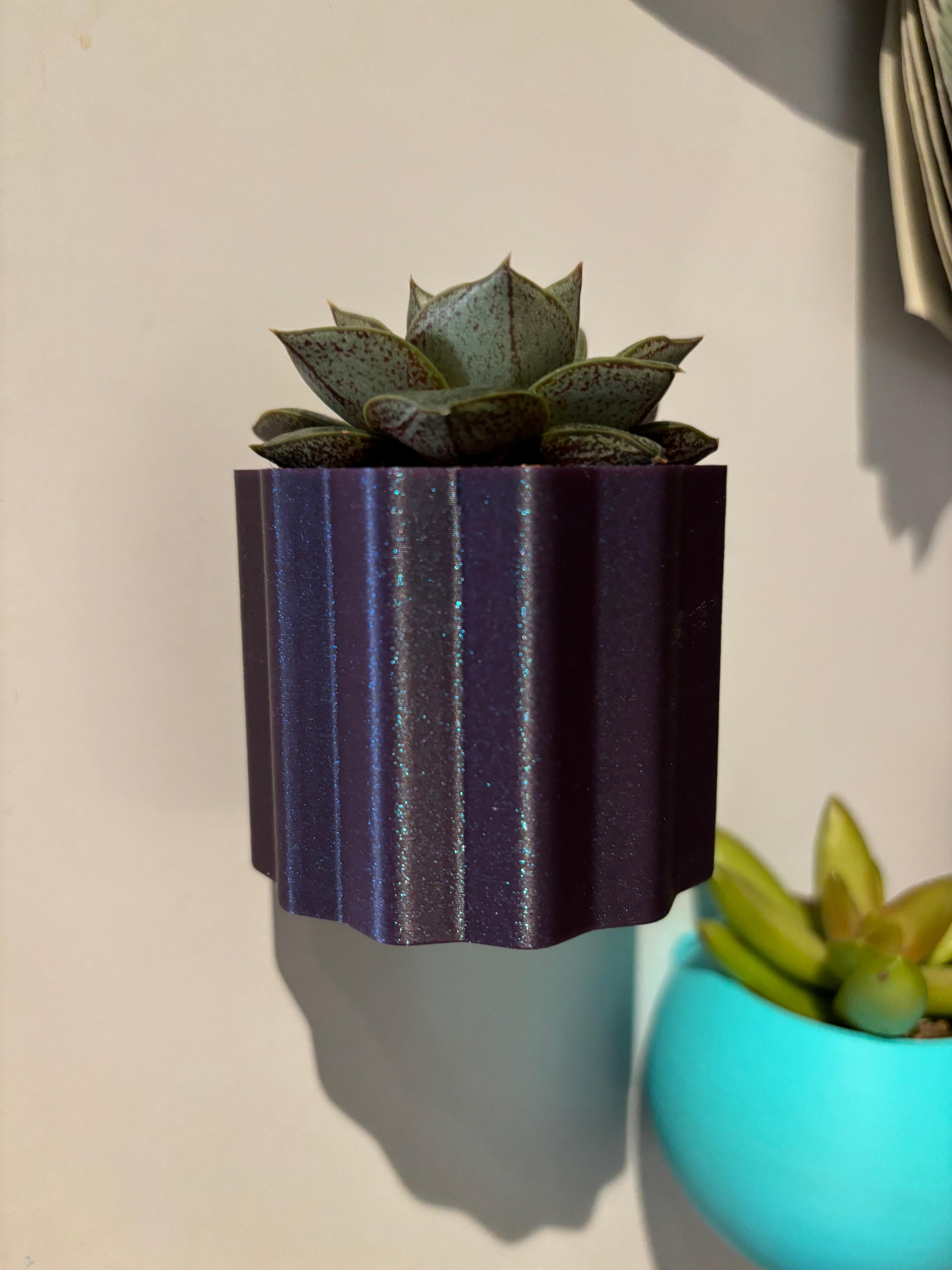 Fridge magnetic planter for succelent plants - 3 3d model