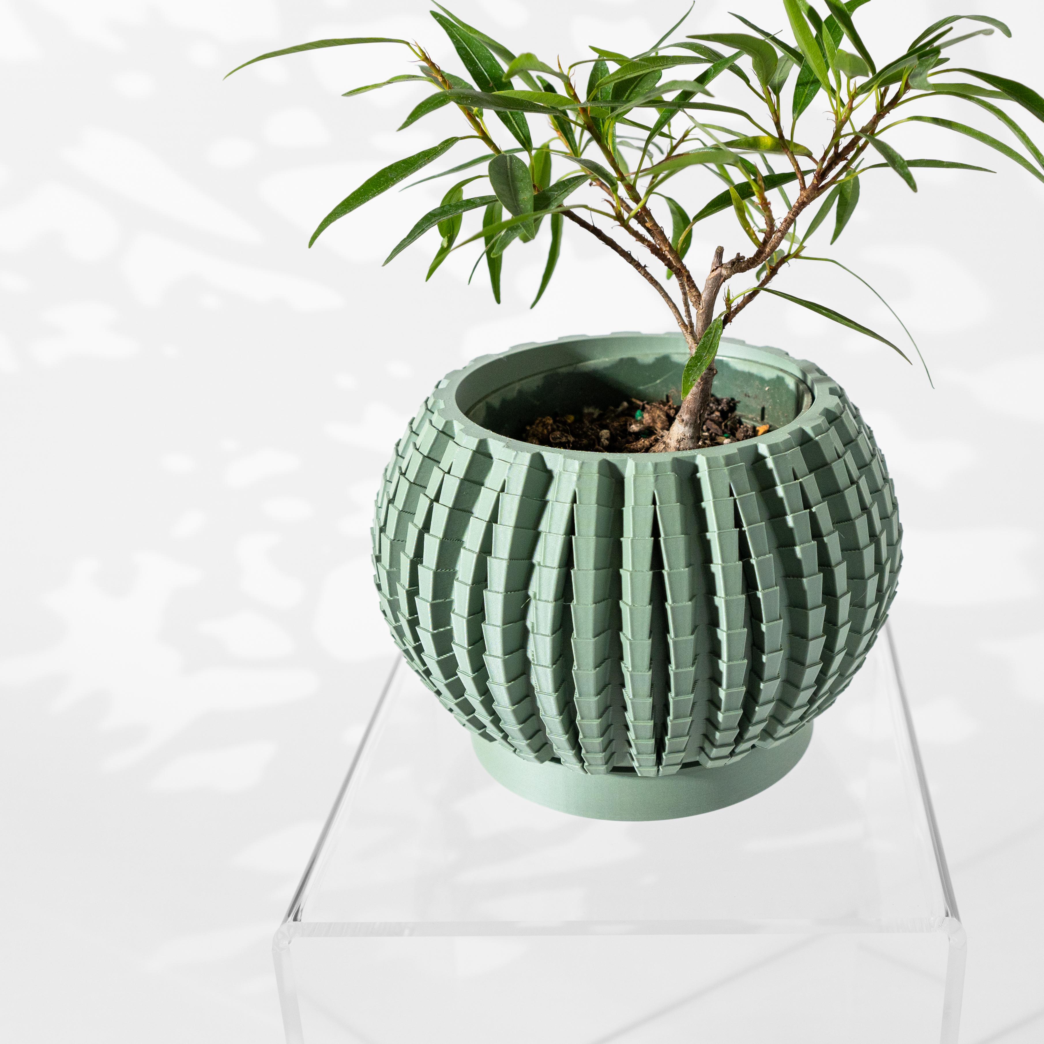 The Uralo Planter Pot with Drainage Tray & Stand: Modern and Unique Home Decor for Plants 3d model