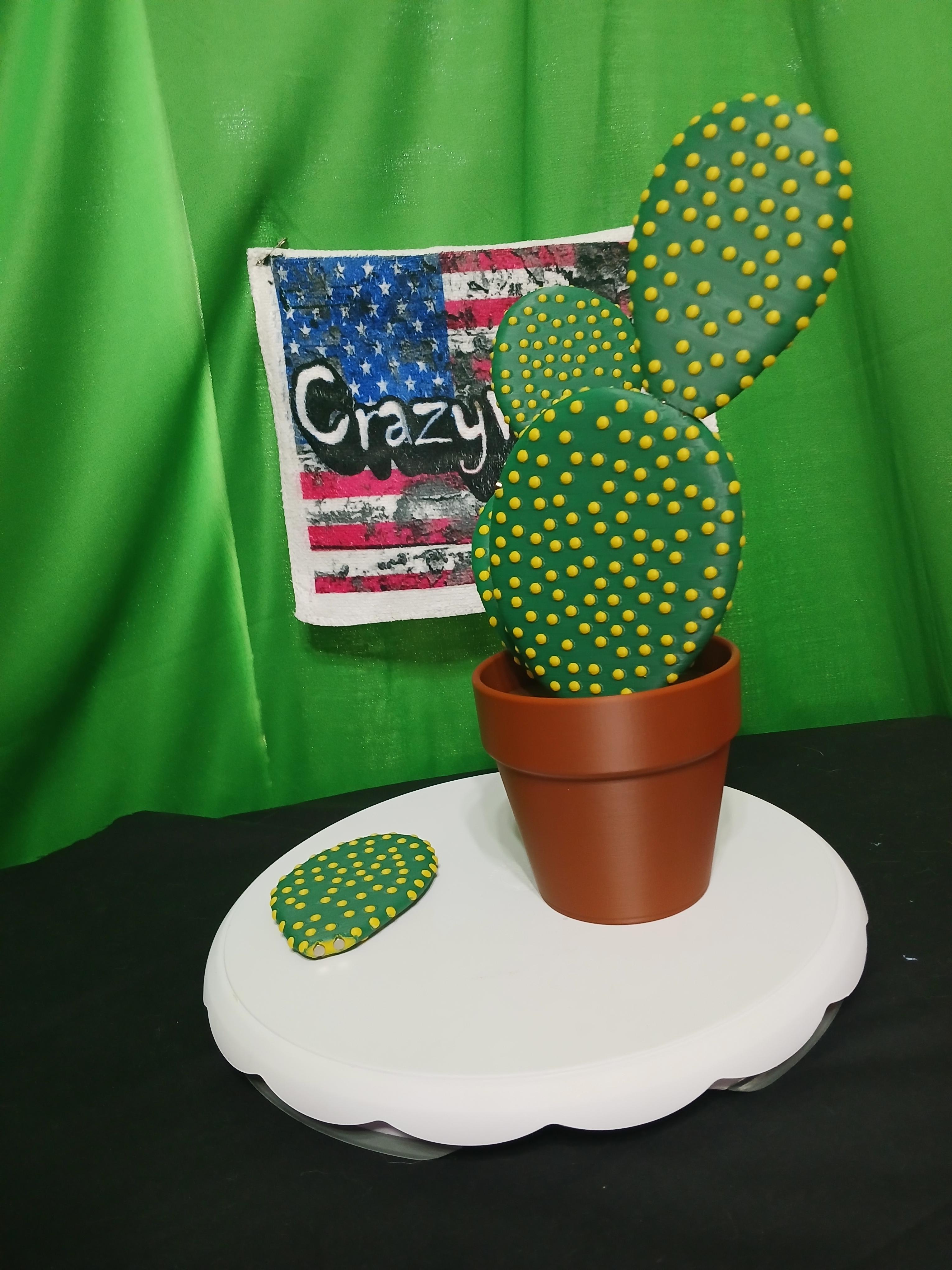 Cactus Coasters - Magnetic Cactus Coaster Set 3d model