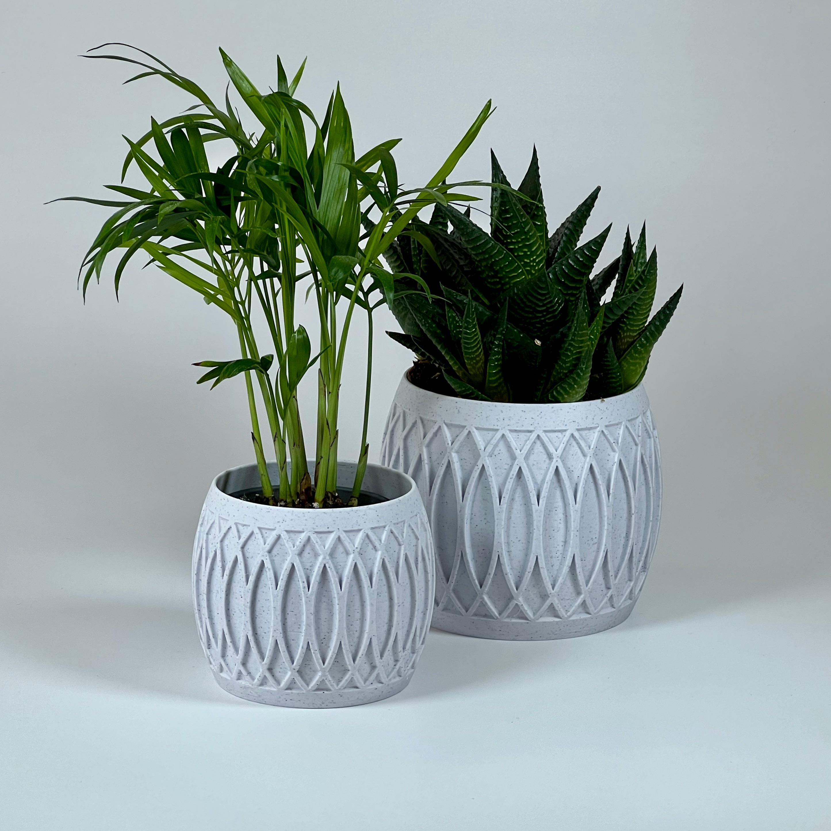 Set of 2 Flower Plats Planter Pot 3d model