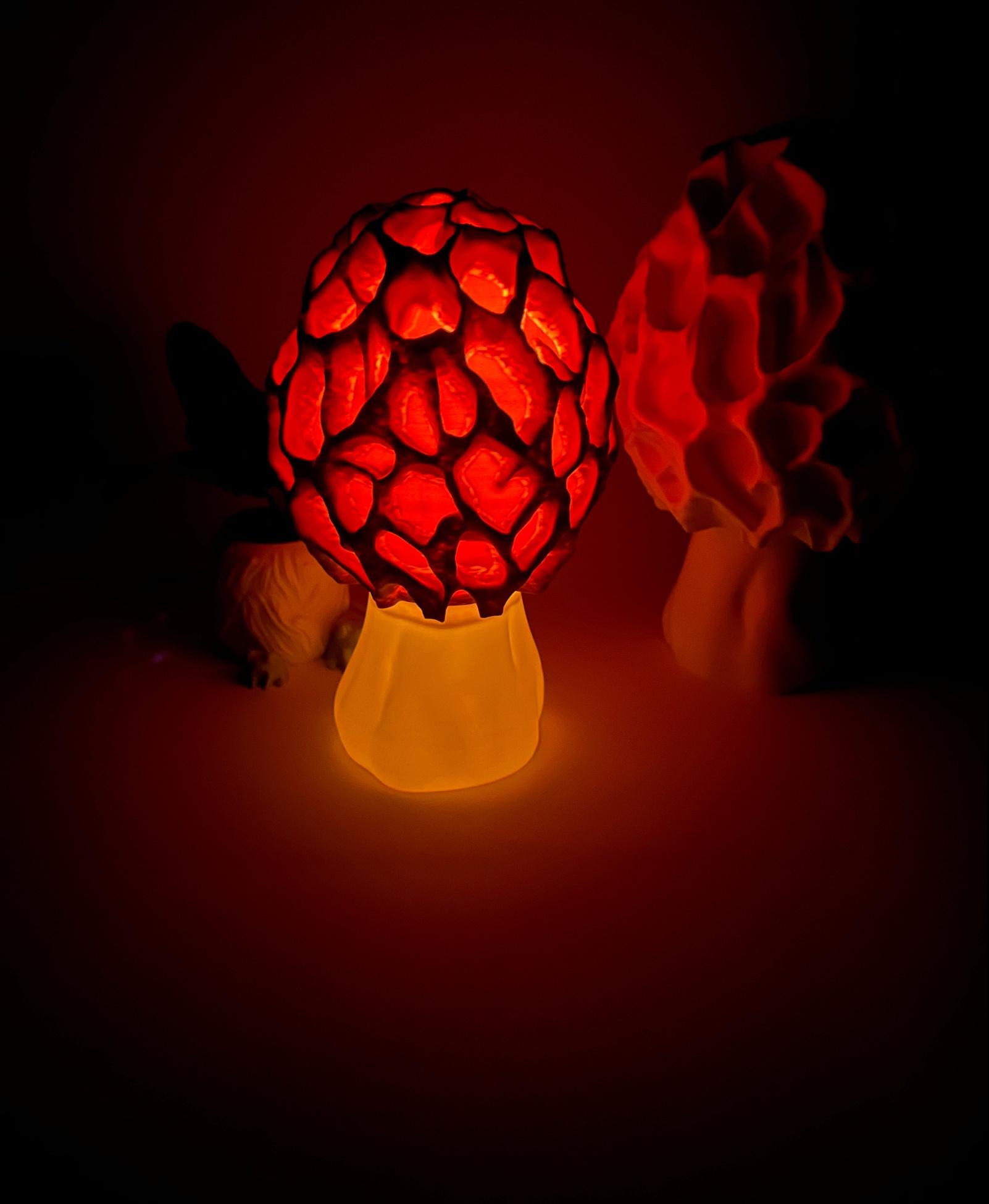 Mushroom lamp “Morchella Esculenta” 3d model