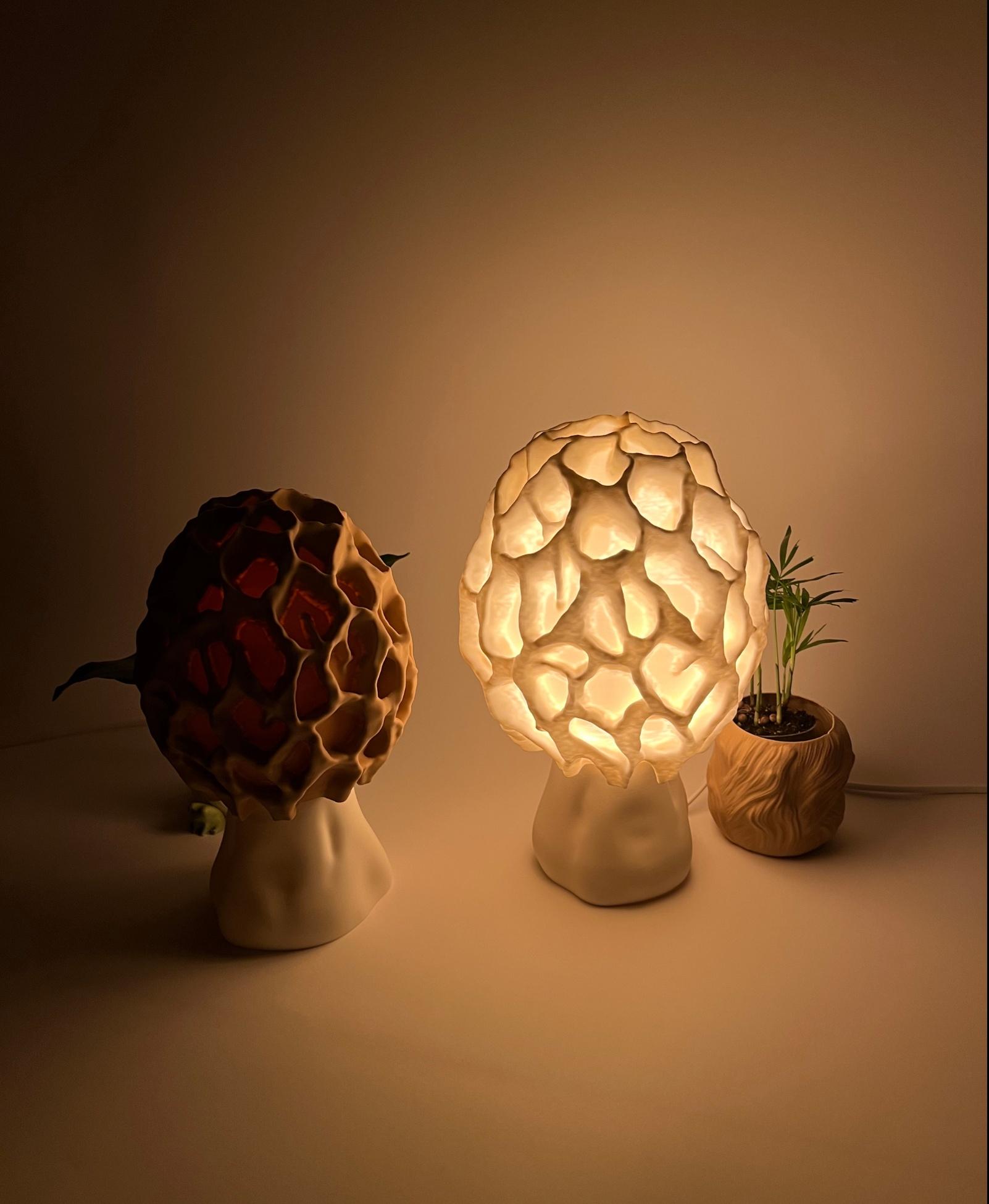 Mushroom lamp “Morchella Esculenta” - This Morchellamp is one of the nicest table lamps that we right now have! The light itself is evenly distributed through out the whole room. Thanks to the softening effect it gives chille vibes. We definitly enjoy the design by gazzaladra a lot. Thanks a lot! - 3d model