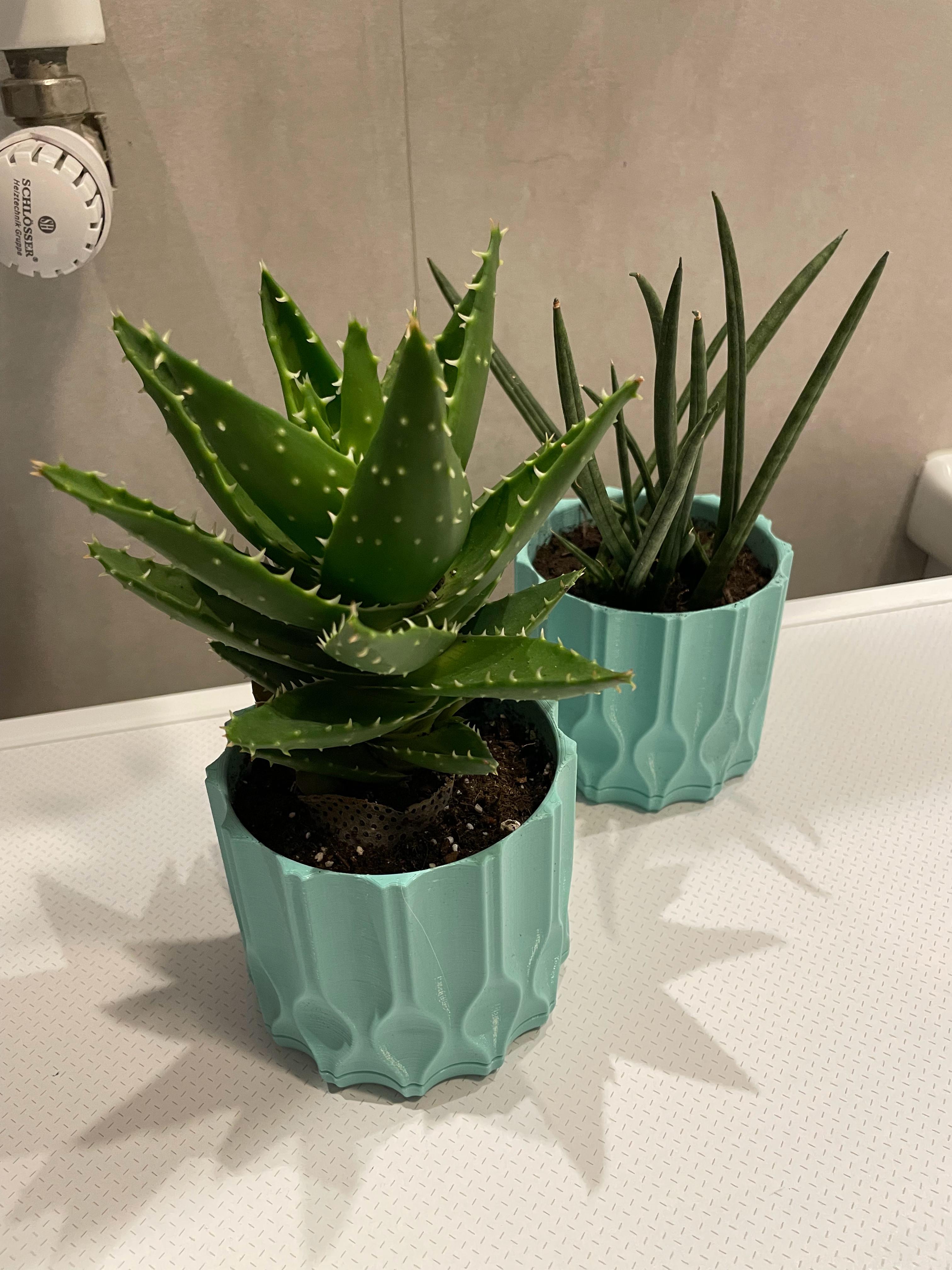 WAVE ALOE PLANTER 3d model