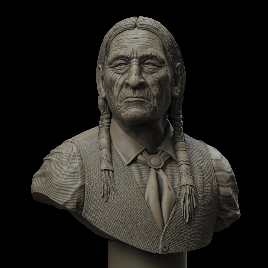 Cheyenne Elder (Pre Supported) 3d model