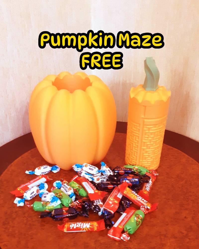 Pumpkin Maze - solve for candy! 3d model