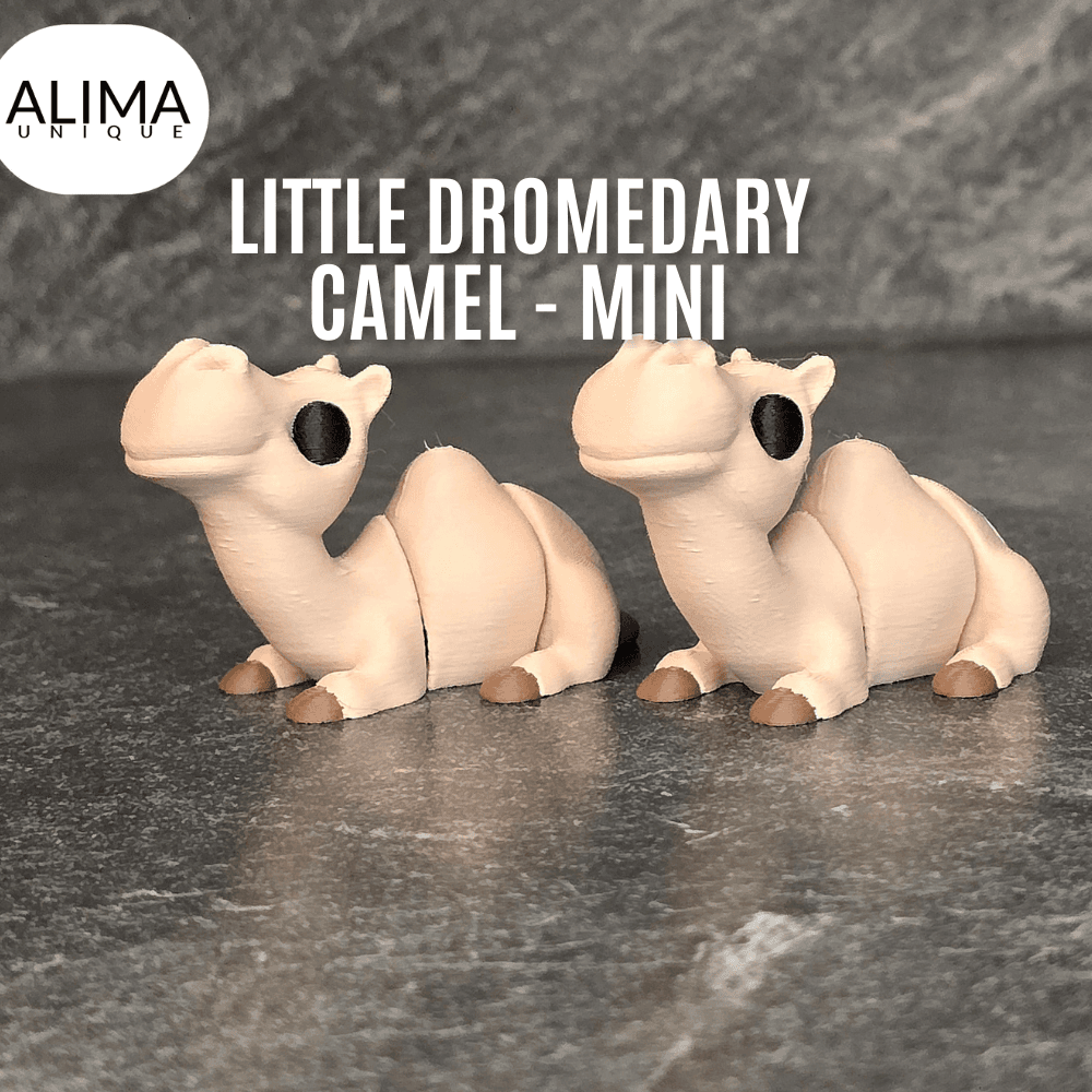 Little Flexi Mini Dromedary Camel 3d model