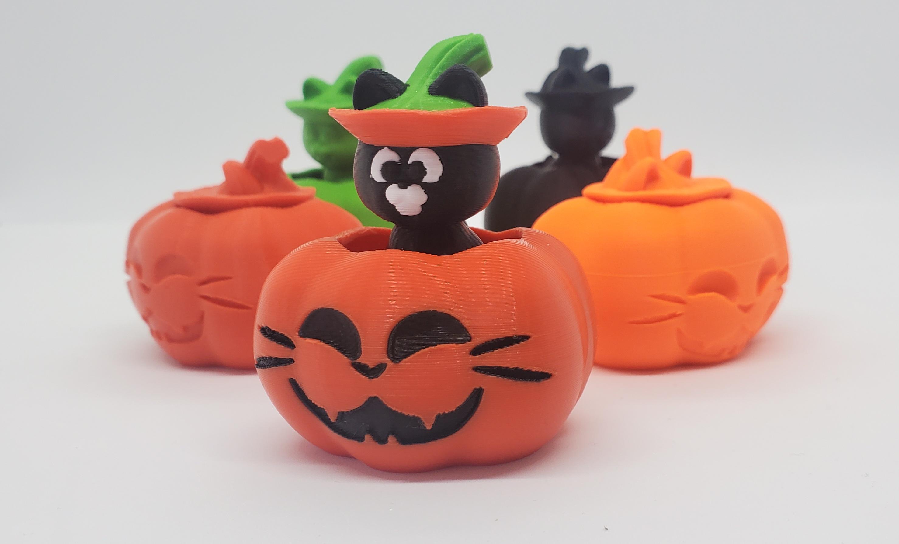 3DL Pumpkin Cat 3d model