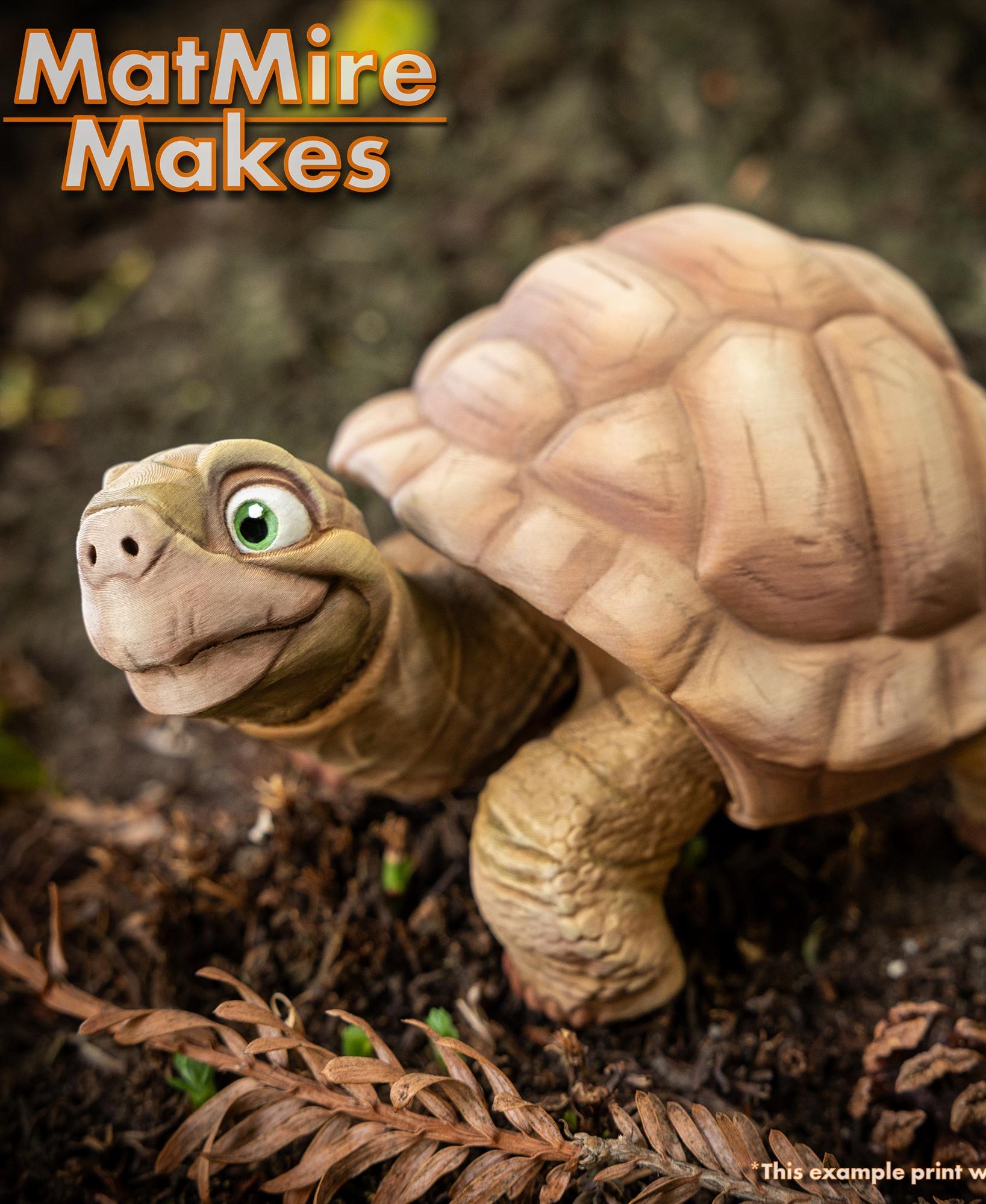 Tortoise - Articulated Figure 3d model