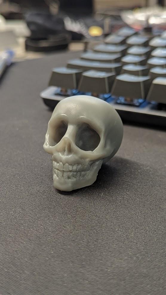 skull game anatomically inaccurate skull model - Form 3L with 0.05 mm layer height - 3d model