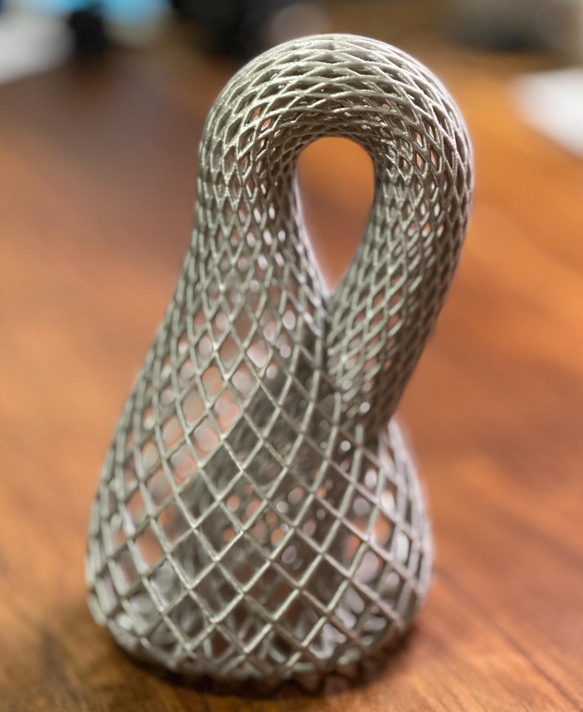 Chain Link Klein Bottle 3d model