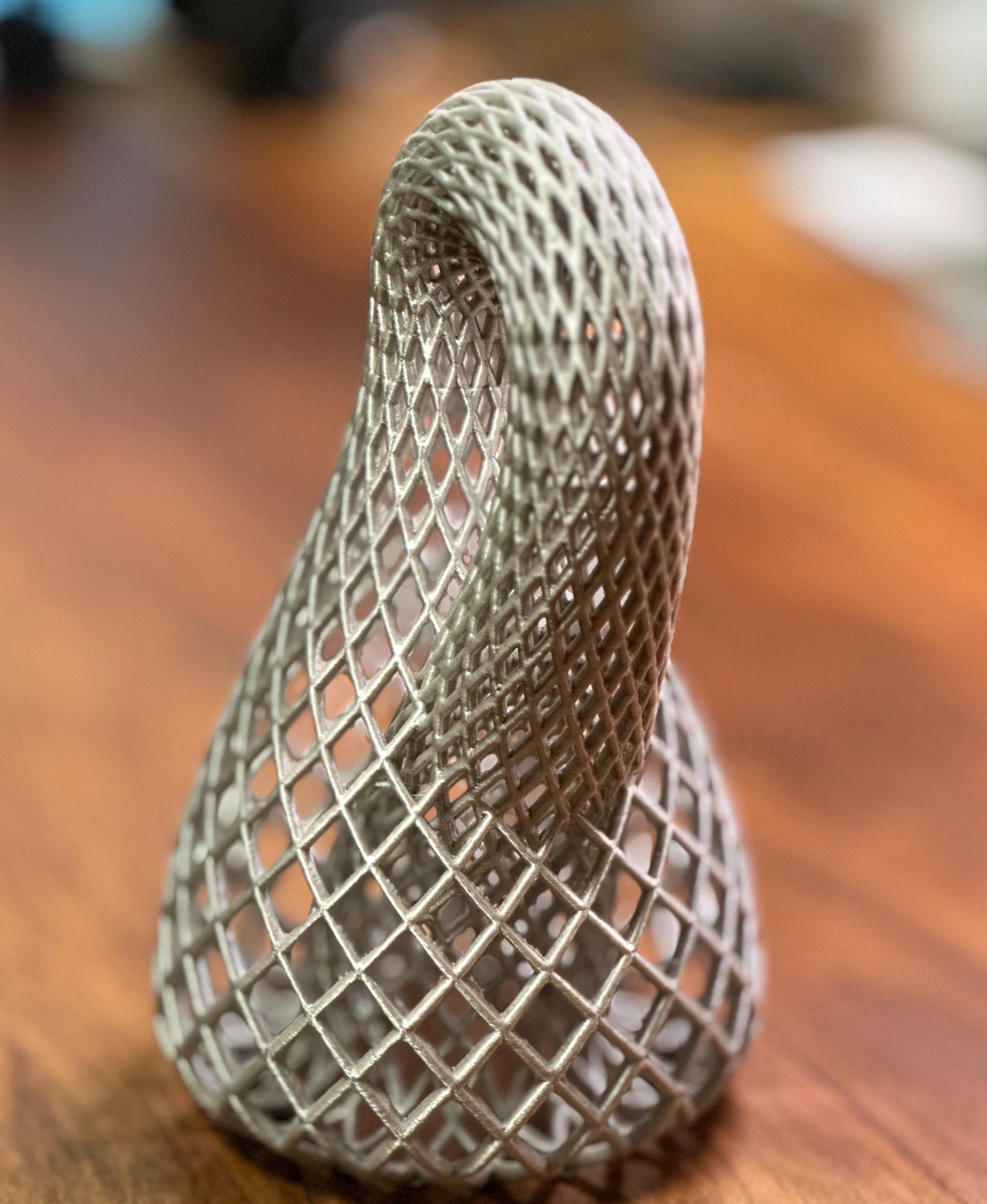 Chain Link Klein Bottle 3d model