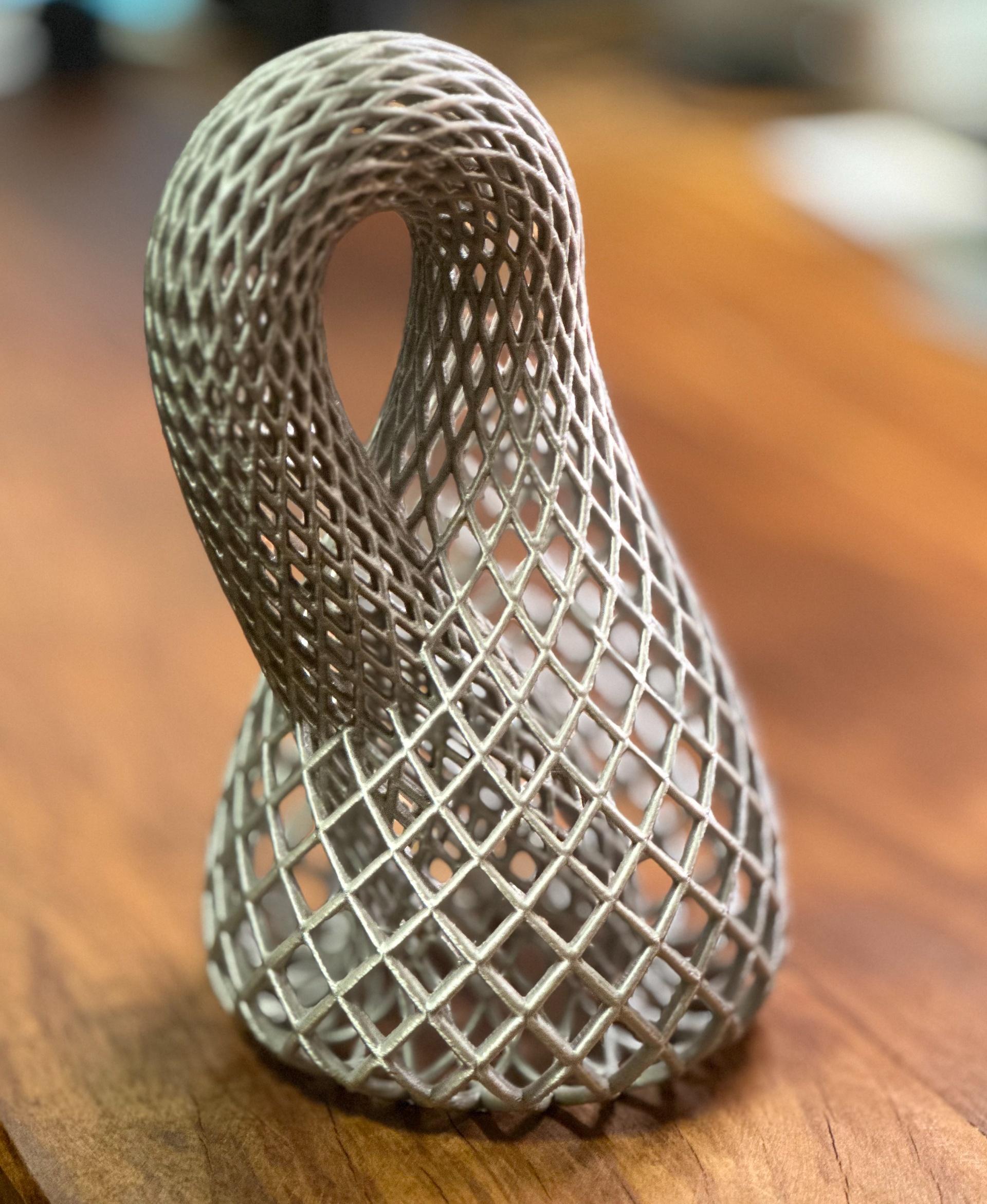 Chain Link Klein Bottle 3d model