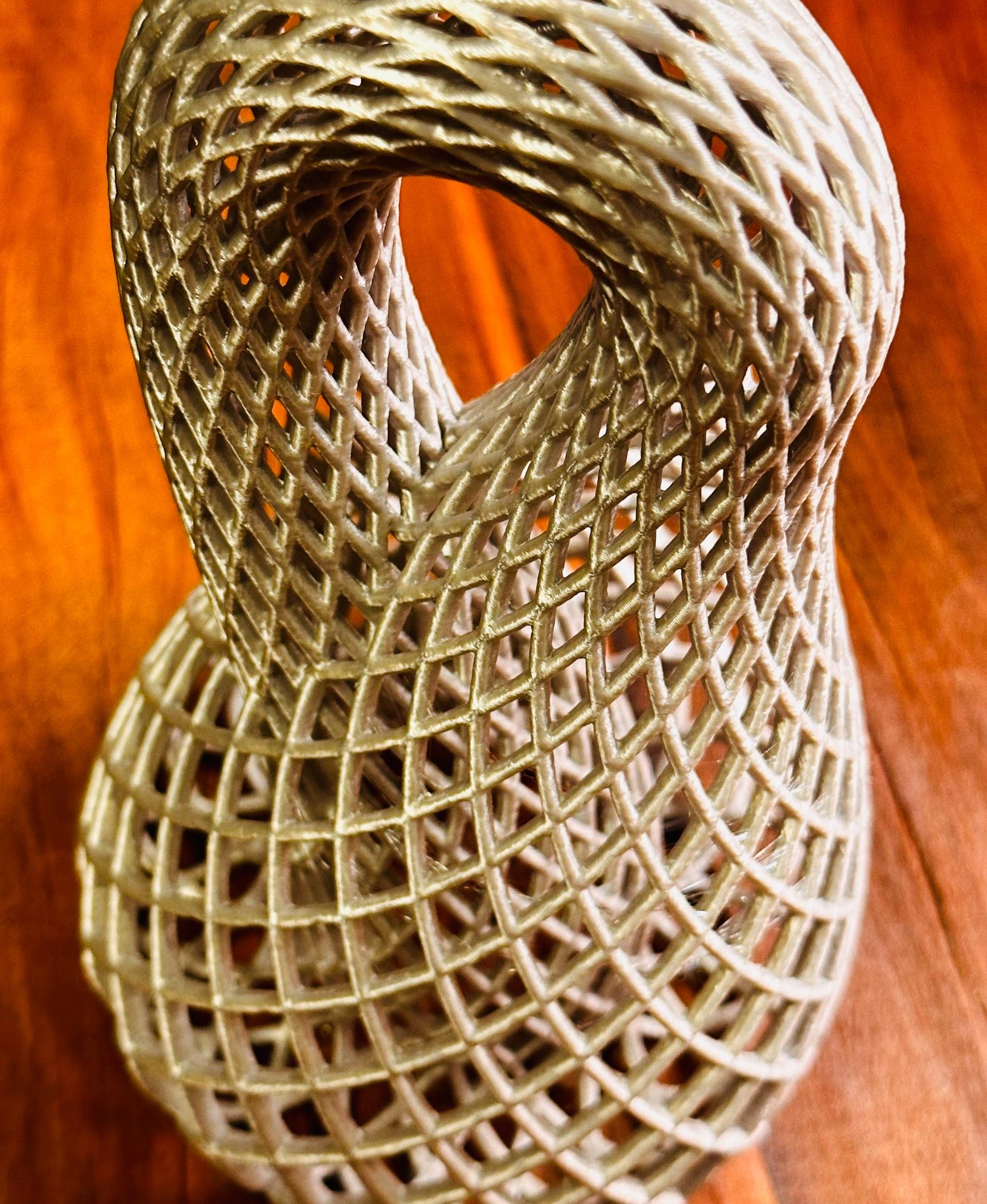 Chain Link Klein Bottle 3d model