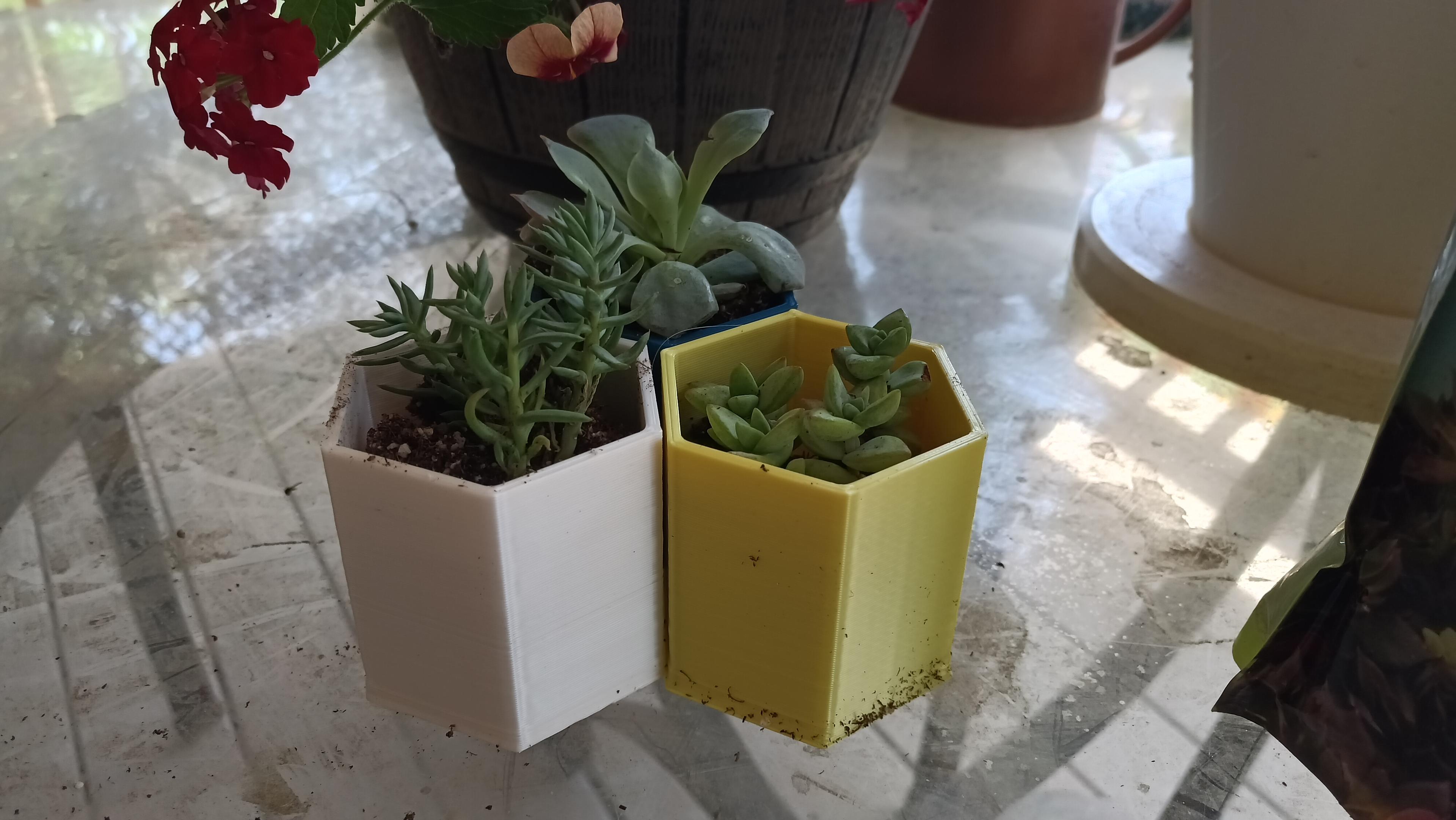 Hexagon Modern Style Succulent Pot Planters Single Double Triple desk organizer as well 3d model