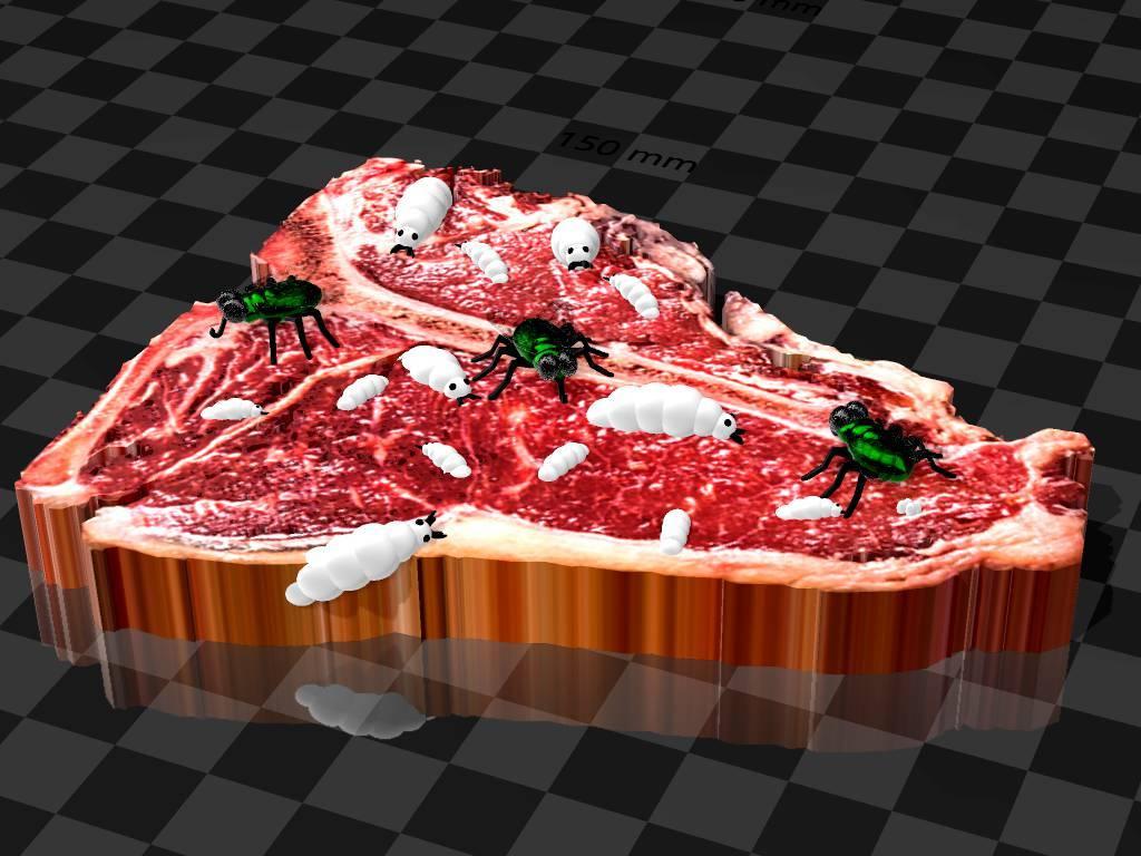 t-bone-full-of-maggots 3d model