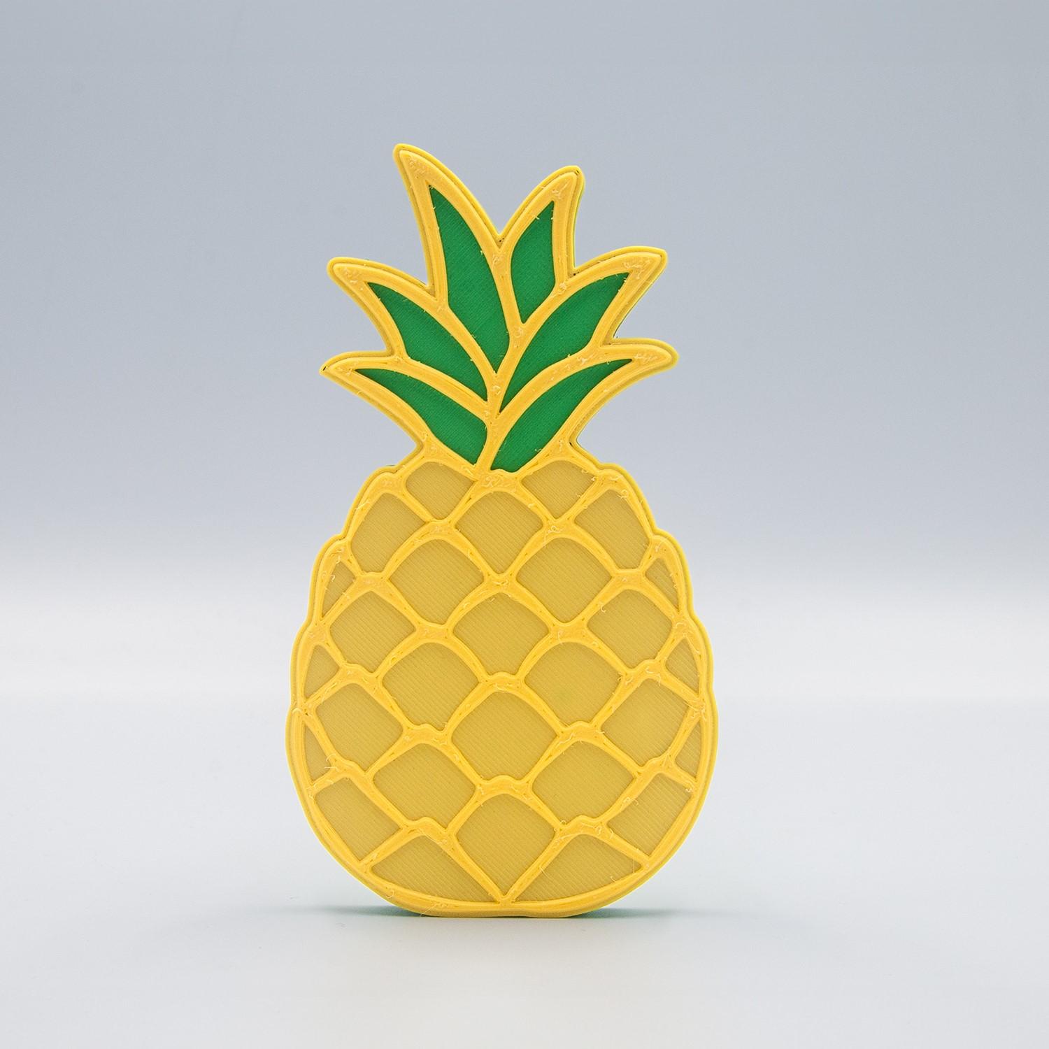 Magnetic Pineapple Coaster Set 3d model