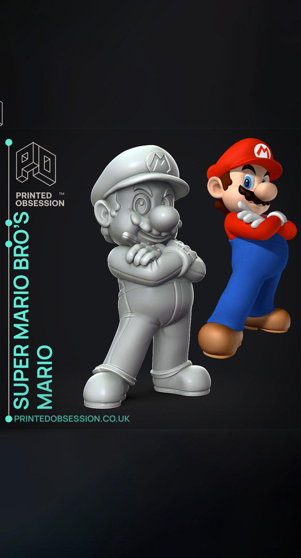 Mario - Super Mario Bros. - Fan Art 3d model